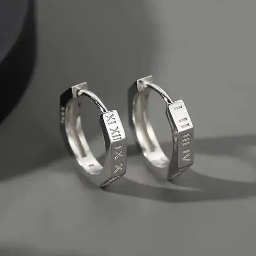 Jewelry Pure Titanium Hoop Huggie Earrings Round/Hexagon Earring Size ONE SIZE - 3 Thumbnail