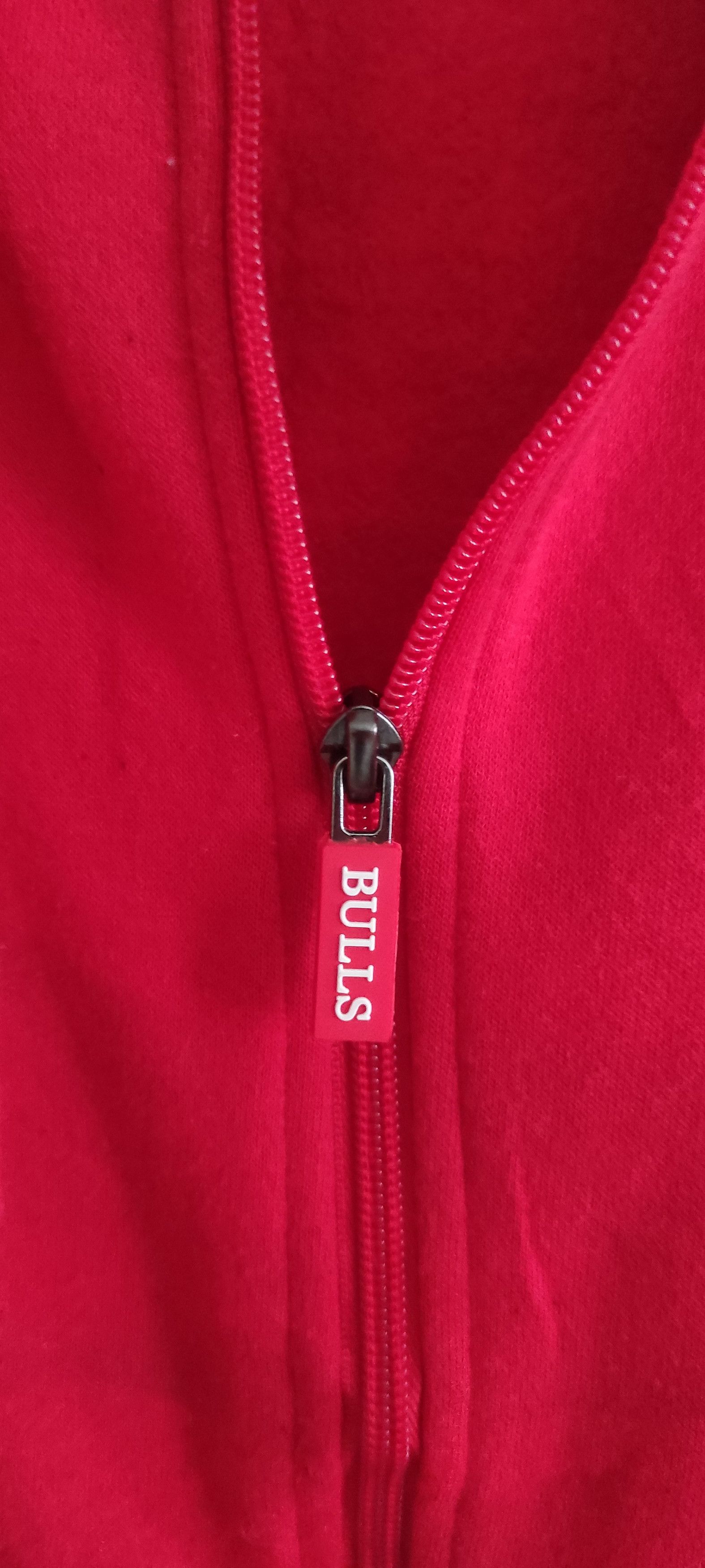 NBA Vintage Y2K Chicago Bulls Hoodie Red NBA Adult Sweatshirt Size M / US 6-8 / IT 42-44 - 17 Thumbnail