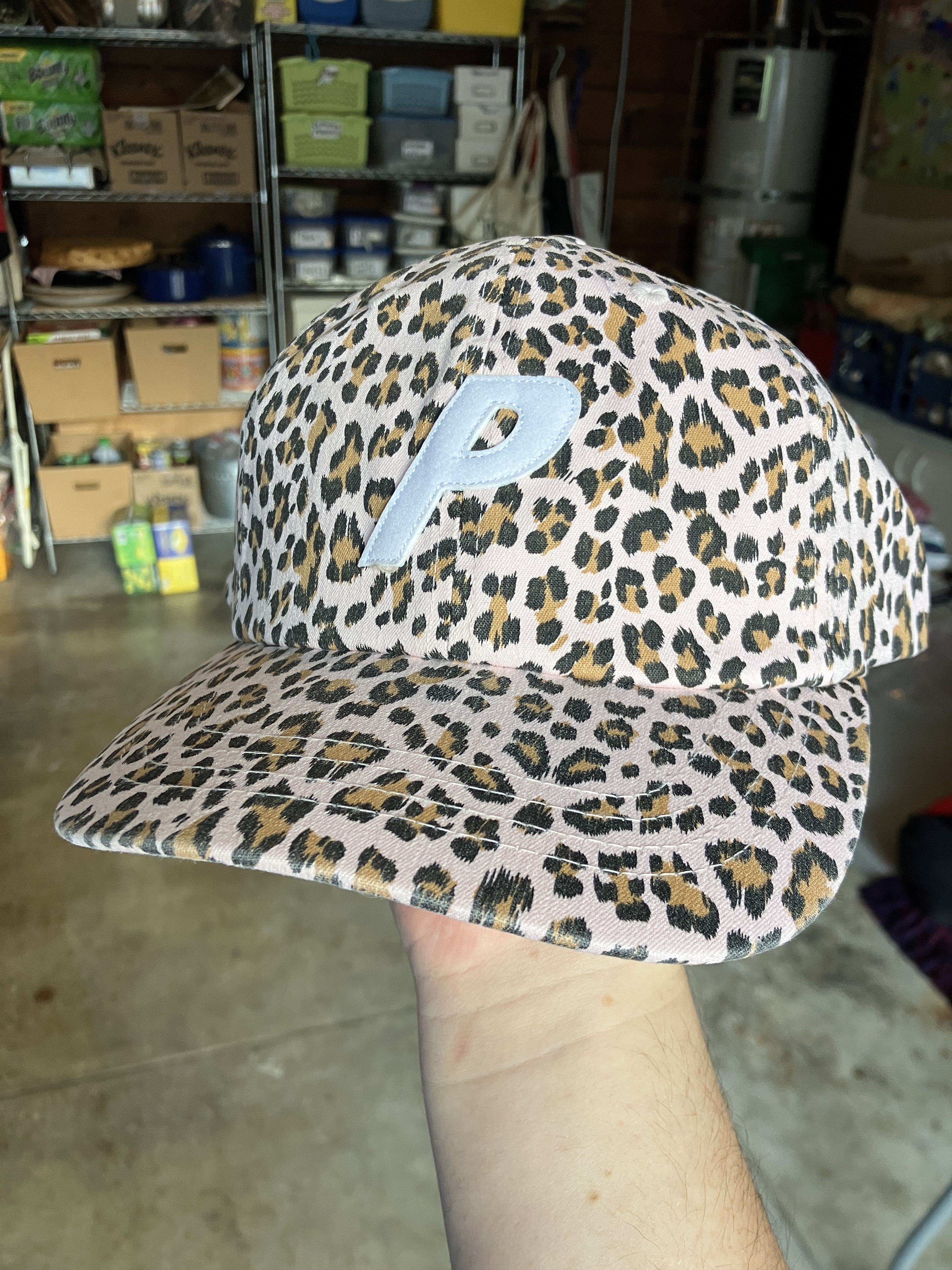 Palace Palace Skateboards GORE-TEX P 6-PANEL CAP K-NEIN PRINT