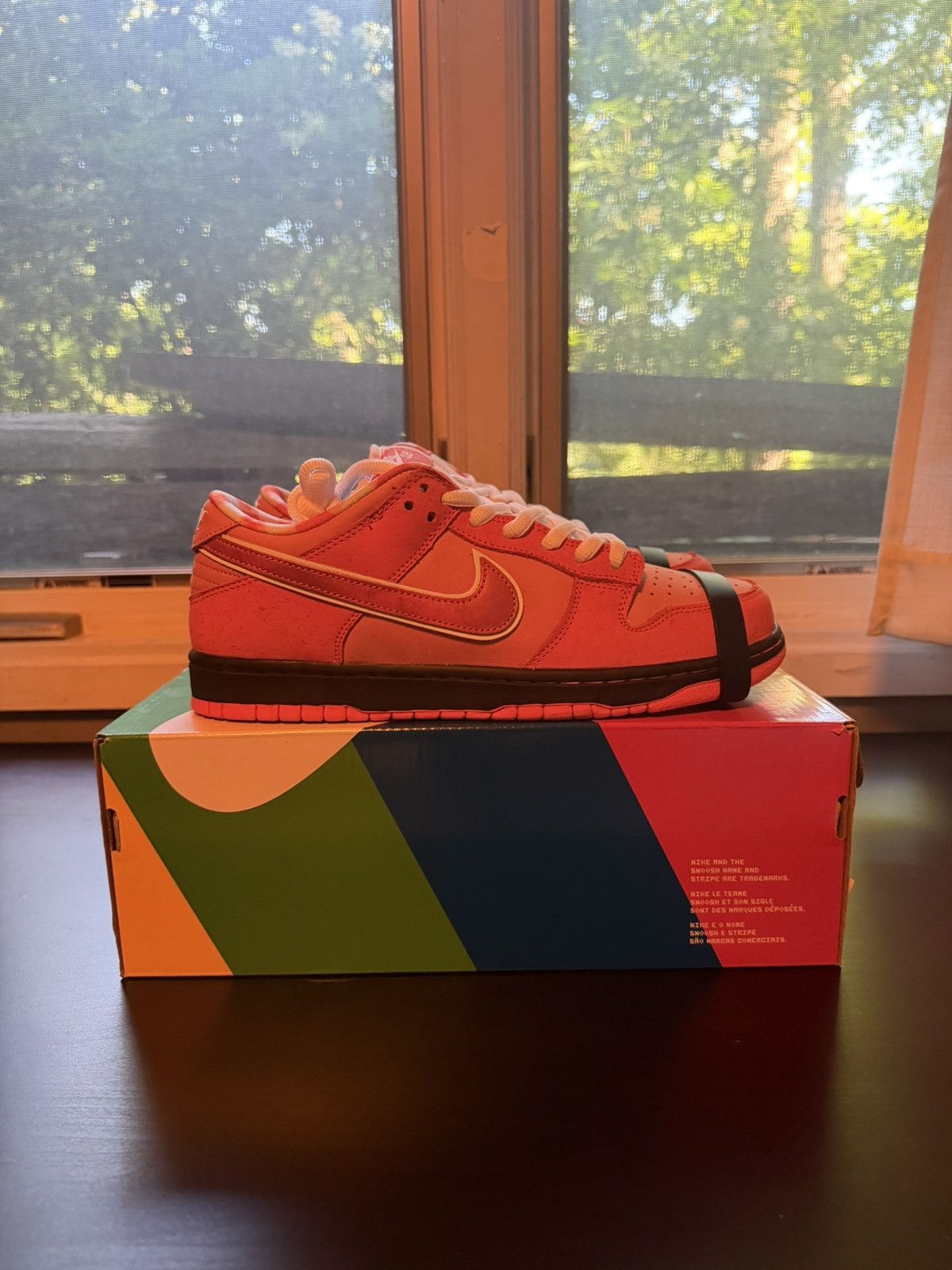 Nike Nike SB Dunk Low Concepts Orange Lobster Size US 10 / EU 43 - 1 Thumbnail