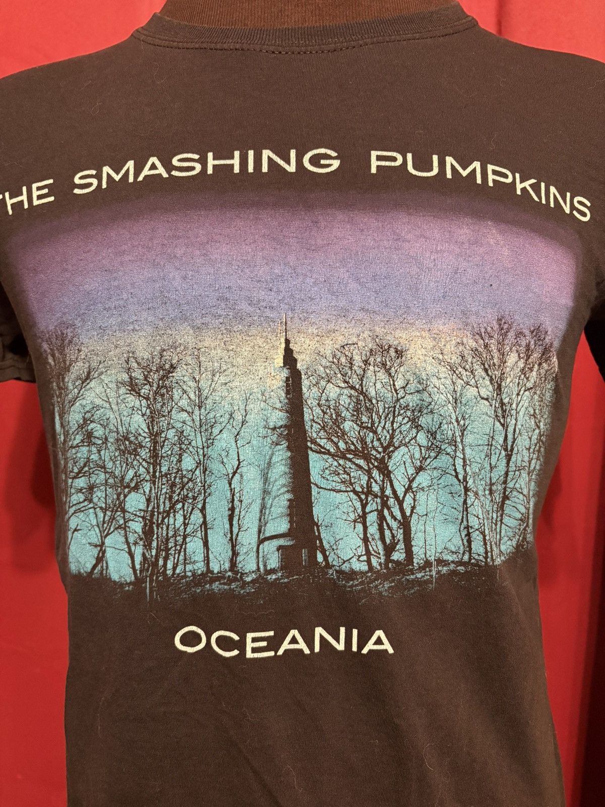 Band Tees The Smashing Pumpkins Tshirt Oceania Band Tee Grail Size US M / EU 48-50 / 2 - 2 Thumbnail
