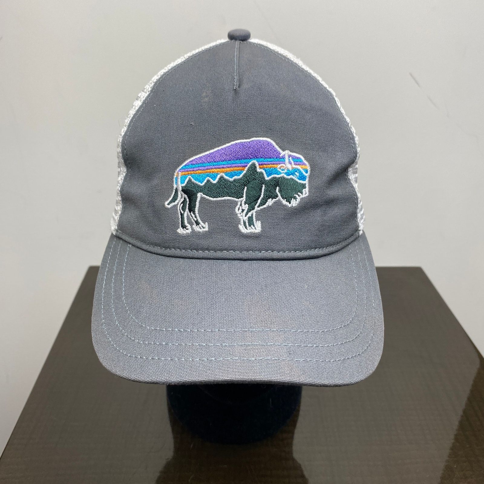 Patagonia Patagonia Fitz Roy Bison Trucker Hat Snapback Adjustable Size ONE SIZE - 2 Thumbnail