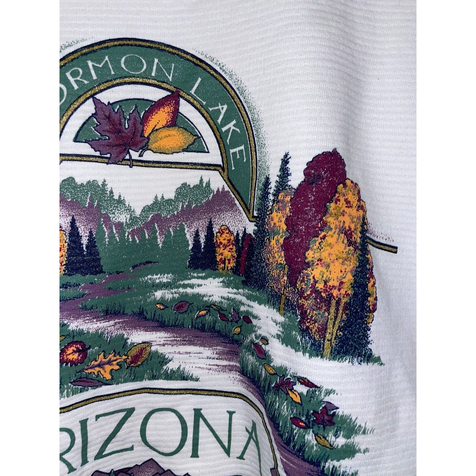 Jerzees Vintage Arizona Sweatshirt Mormon Lake Wilderness VTG 90s L Size US L / EU 52-54 / 3 - 3 Thumbnail