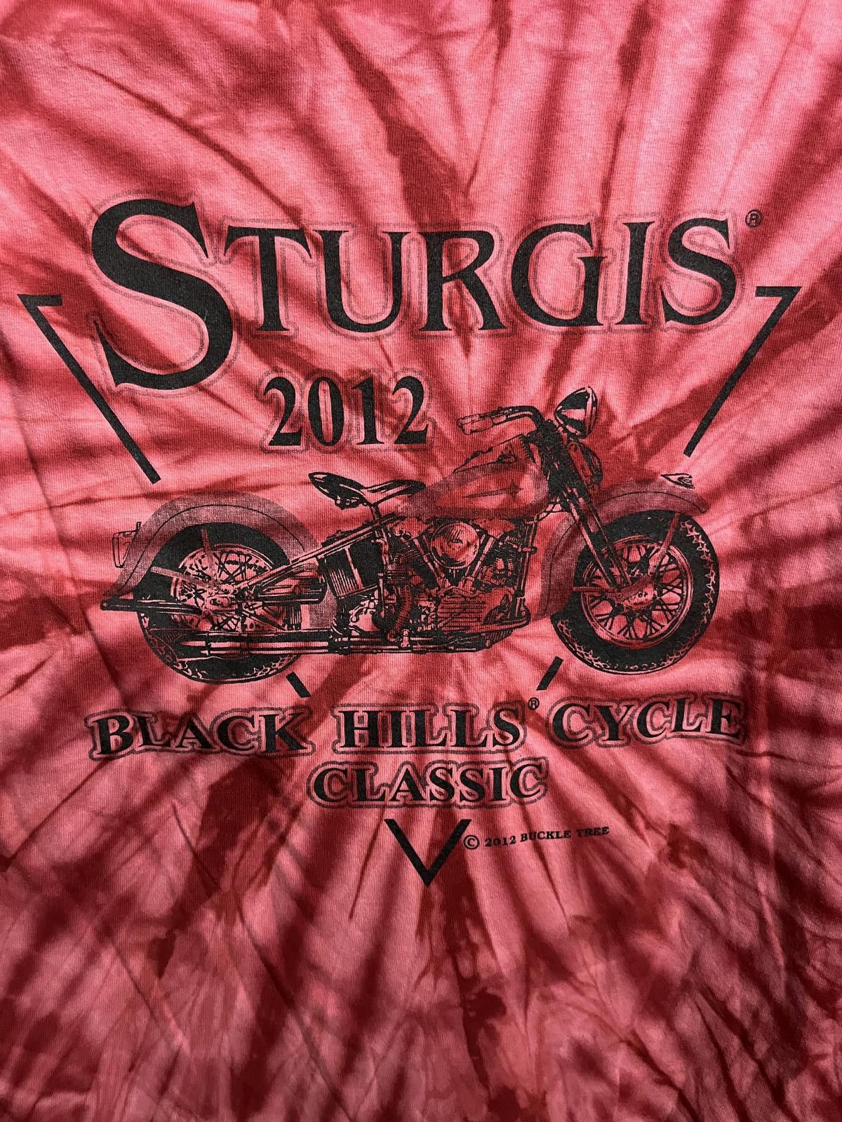 Gildan 2012 Biker Black HIlls Sturgis Tie Dye T-shirt Bald Eagle L Size US L / EU 52-54 / 3 - 6 Thumbnail