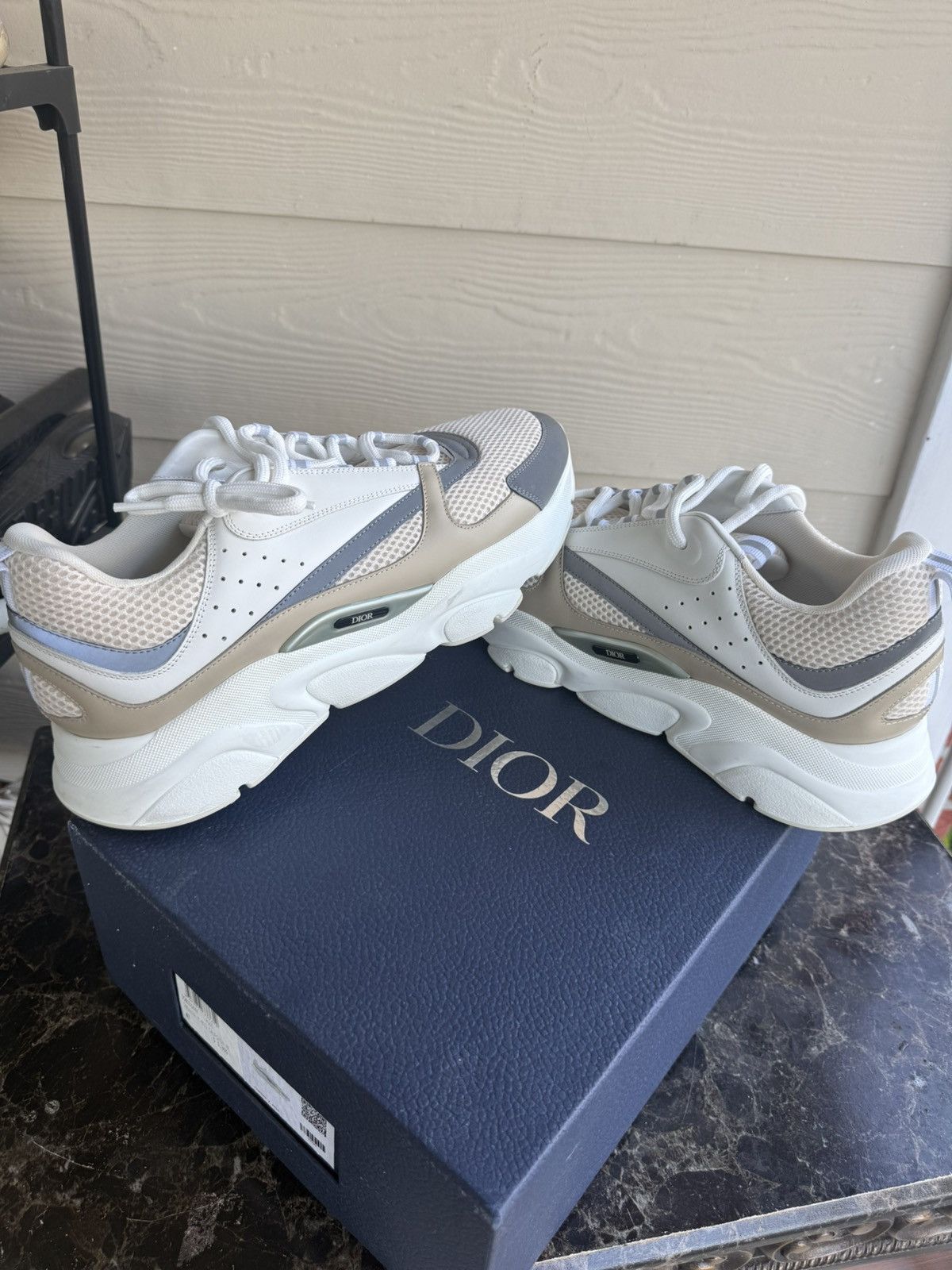 Dior B22 sneaker