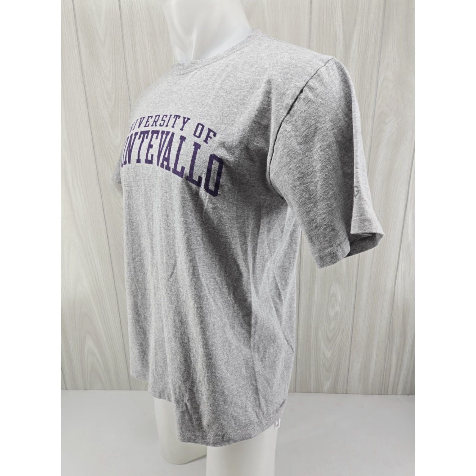Vintage University of Montevallo Falcons UM T Shirt Size Large Gray Men Regular Cotton Short Sleeve Vintage No N/A Size US L / EU 52-54 / 3 - 4 Thumbnail