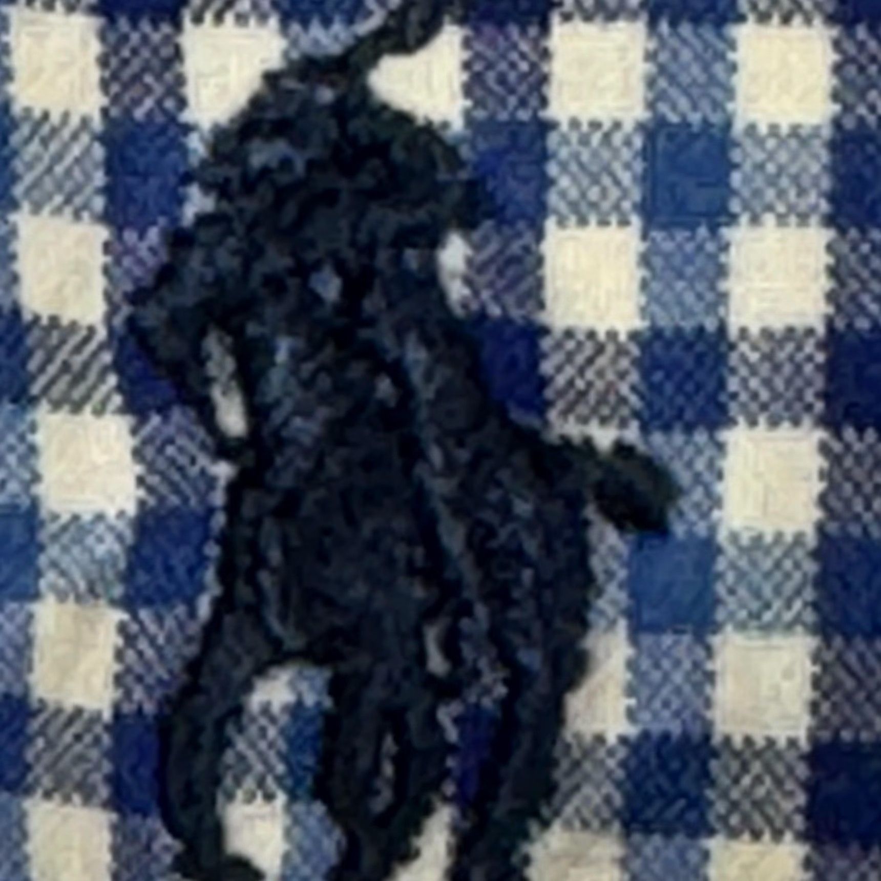 Ralph Lauren Ralph Lauren Shirt Mens XL Blue Checked Classic Fit Button-Down Long Sleeve Size US XL / EU 56 / 4 - 7 Thumbnail