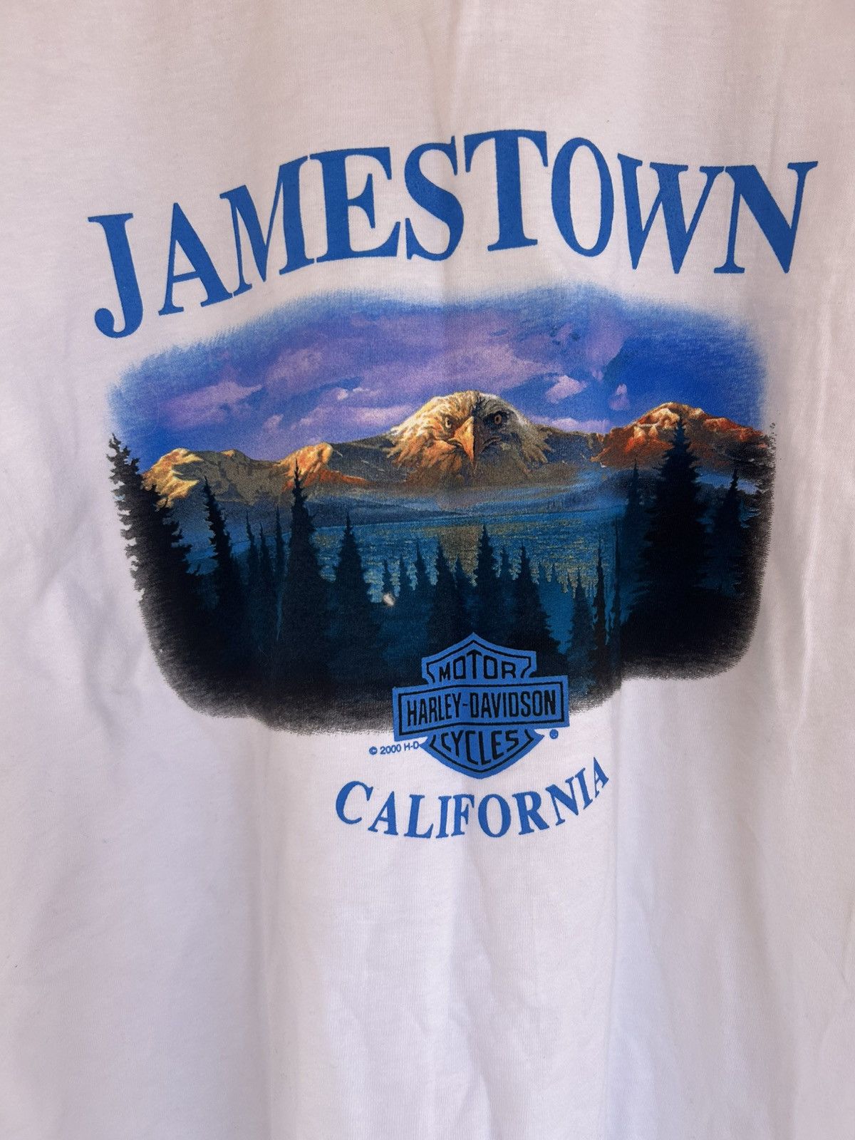 Harley Davidson Vintage Harley Davidson Shirt Size XXL NWT Size US XXL / EU 58 / 5 - 4 Thumbnail