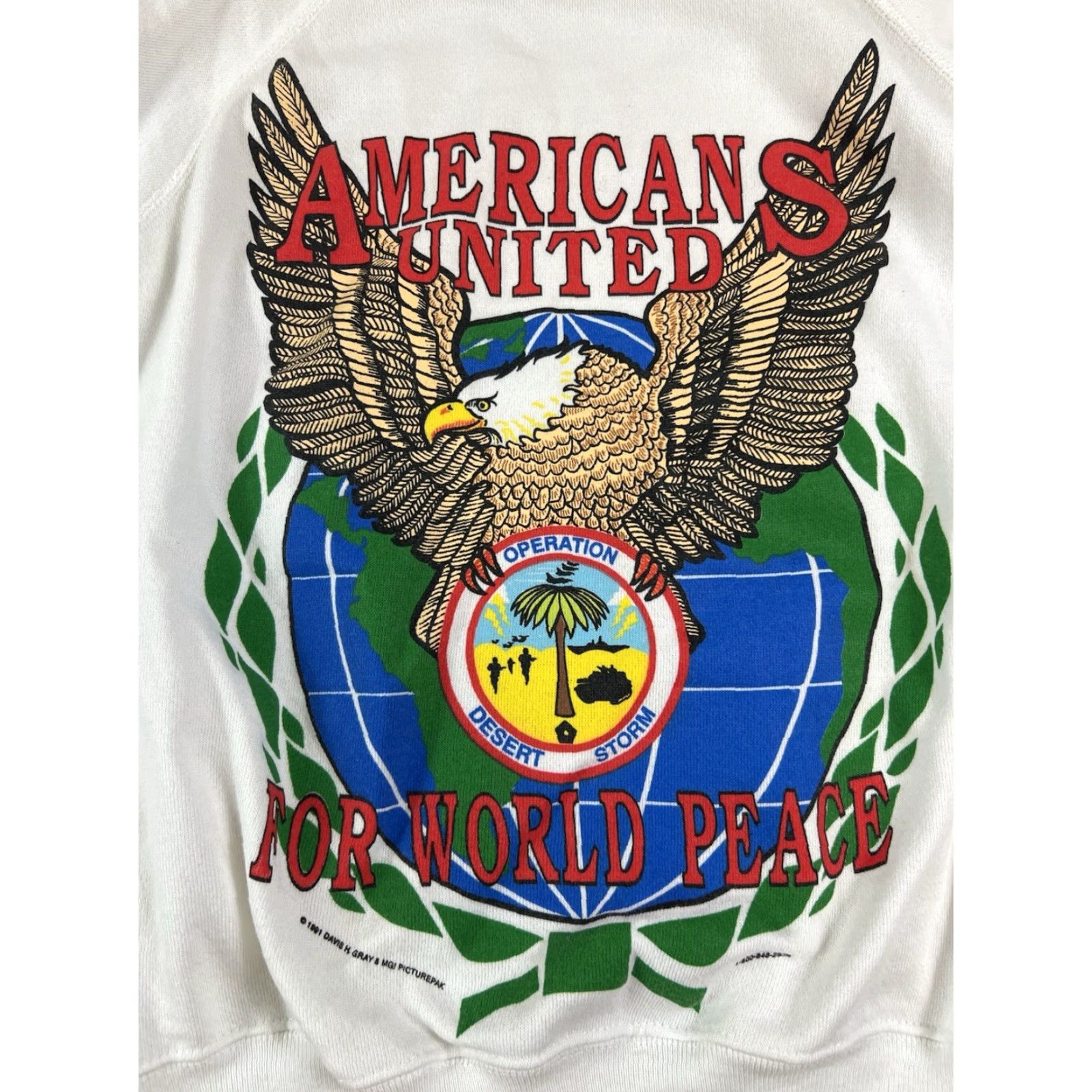Hanes VINTAGE Hanes Operation Desert Storm Crewneck Sweatshirt White Size Large L Adult Unisex 90s Pullover Crew Neck Storm Pattern Solid Vintage Size US L / EU 52-54 / 3 - 4 Thumbnail