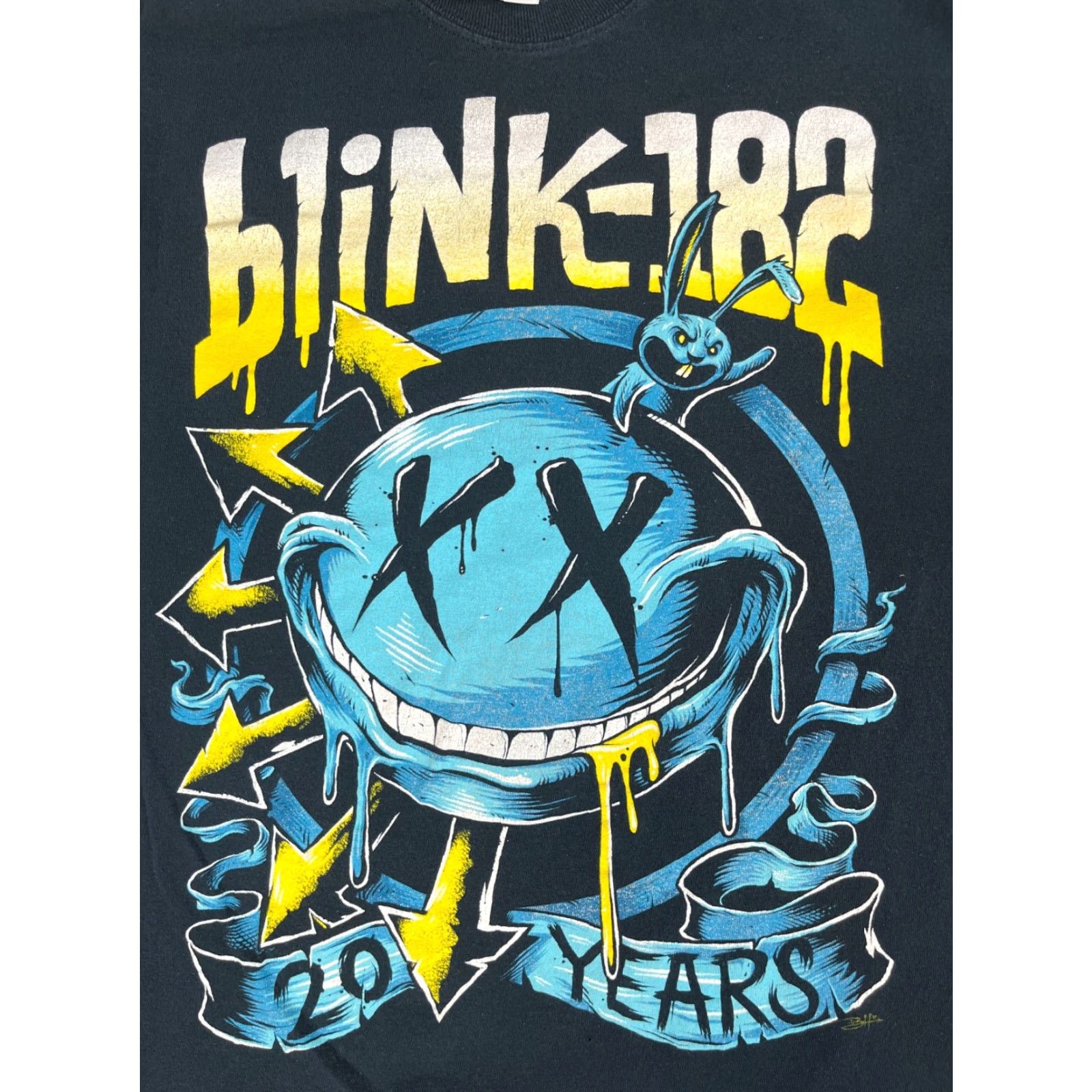 Gildan Men's Blink-182, 20 Years Graphic T-Shirt Punk Rock Band Sz M Shirt Adult Medium Black Gildan Cotton Music 2010s Mens Size US M / EU 48-50 / 2 - 3 Thumbnail