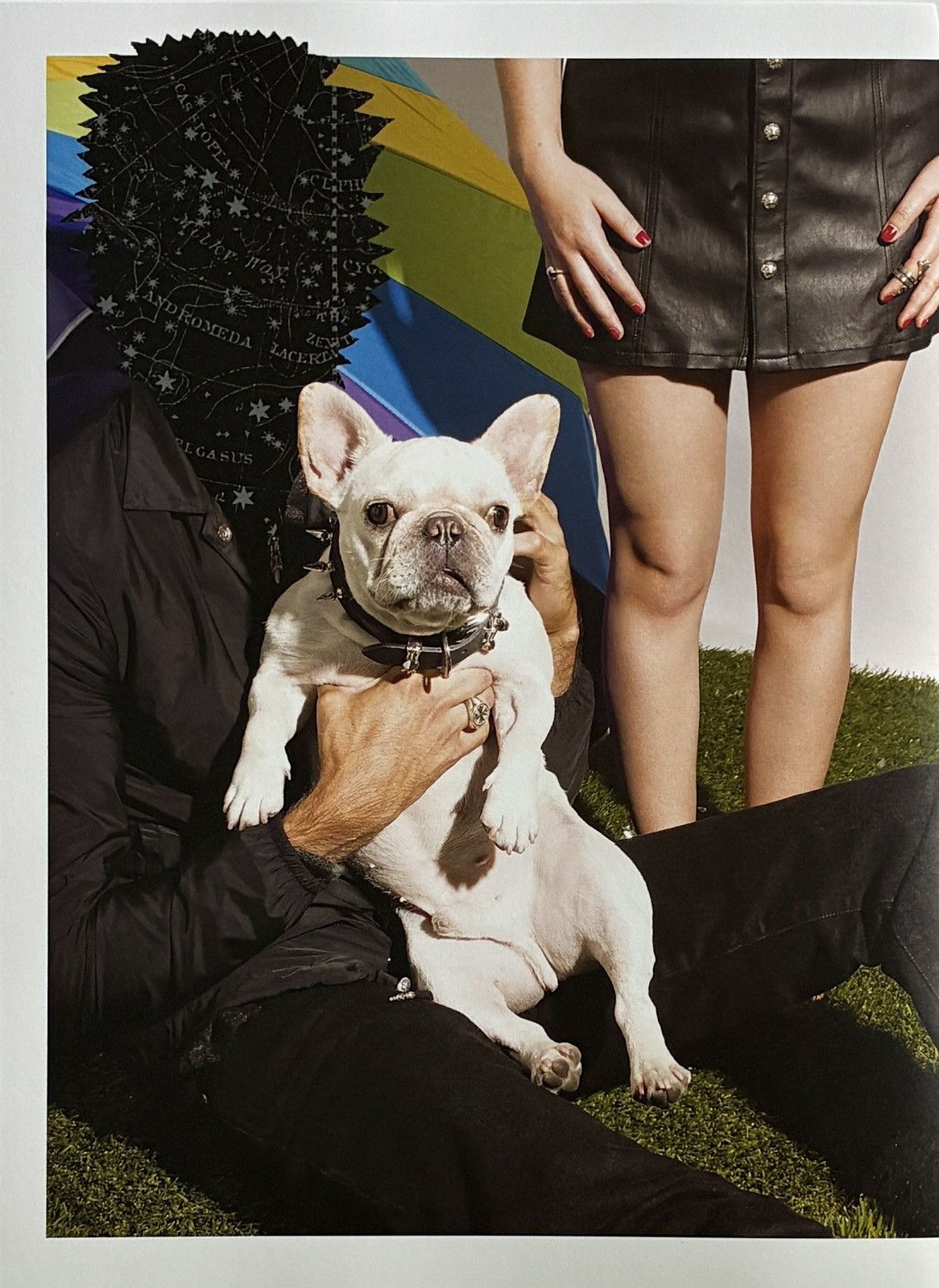 Chrome Hearts Chrome Hearts dog photo Poster framed 9x11 Size ONE SIZE - 2 Thumbnail