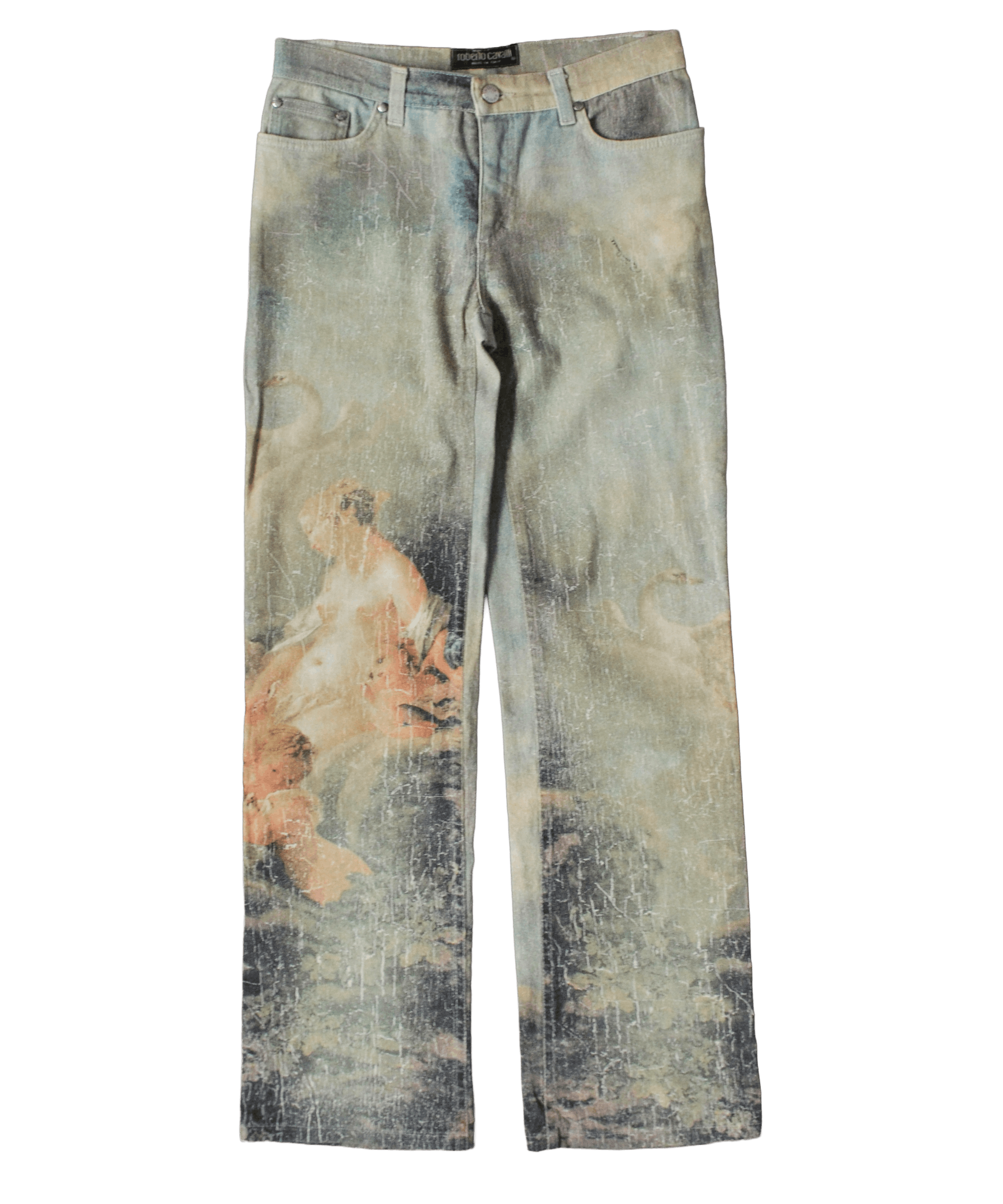 Roberto Cavalli Roberto Cavalli Jeans Pants Wild Leda Print Vintage Denim Size US 30 / EU 46 - 11 Thumbnail
