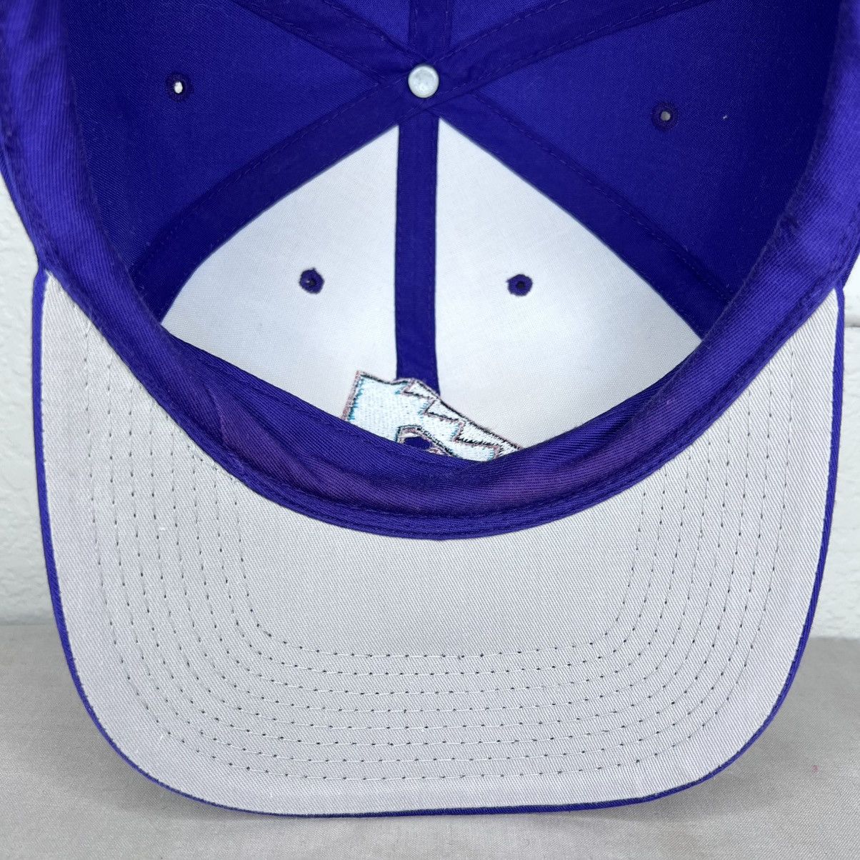 MLB Vintage 1990s MLB Arizona Diamondbacks Plain Logo Snapback Size ONE SIZE - 11 Thumbnail
