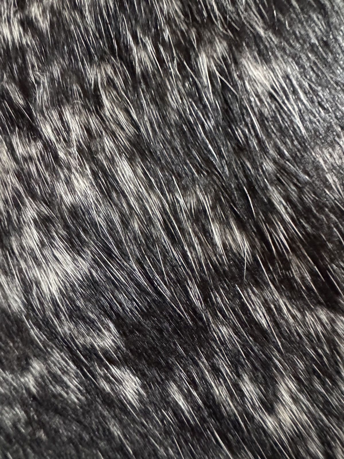 Other Victoria / tomas rare messenger pony fur Size ONE SIZE - 11 Thumbnail