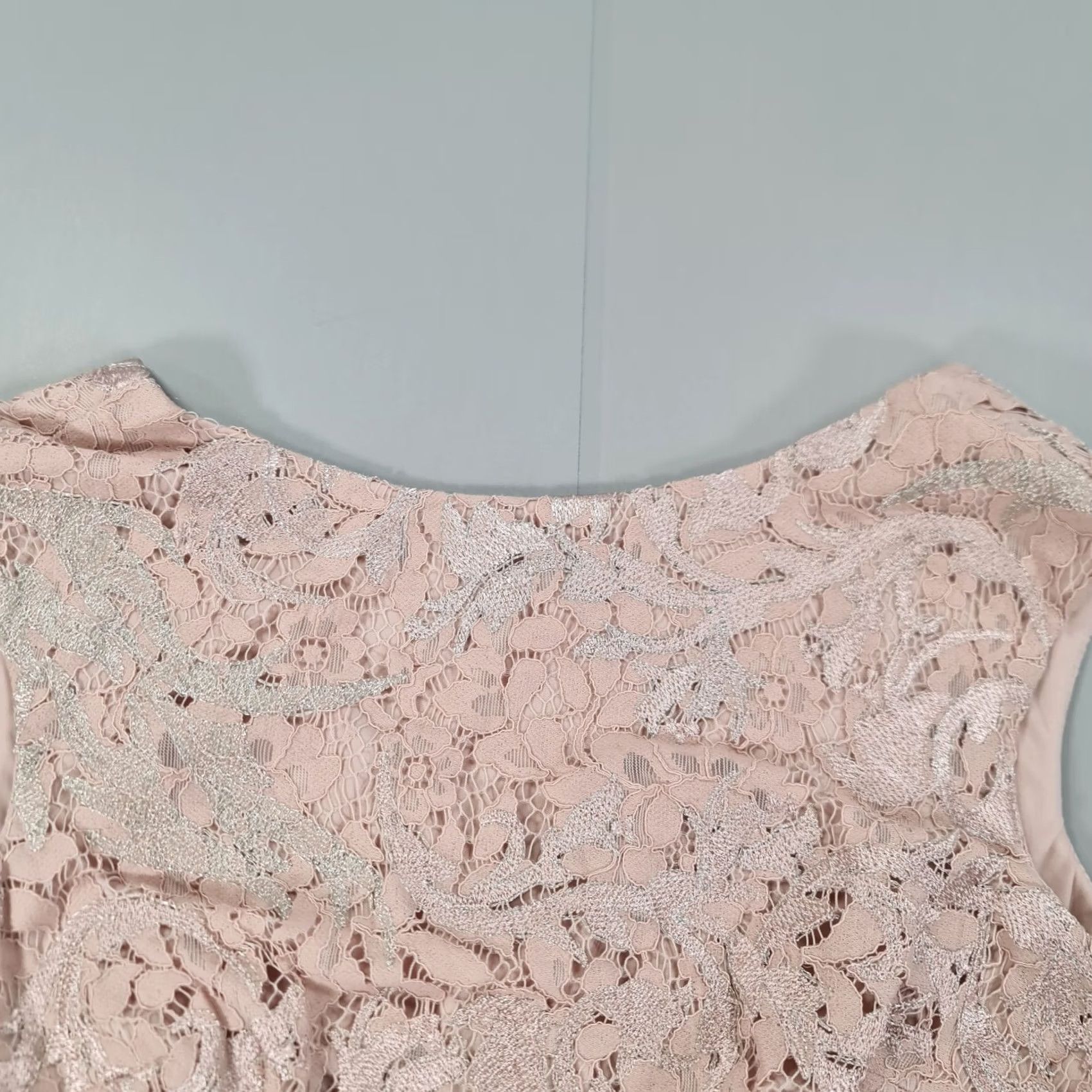 Adrianna Papell Adrianna Papel Womens Dress 6 UK Embroidered Lace Knee Dusty Rose Size M / US 6-8 / IT 42-44 - 5 Thumbnail