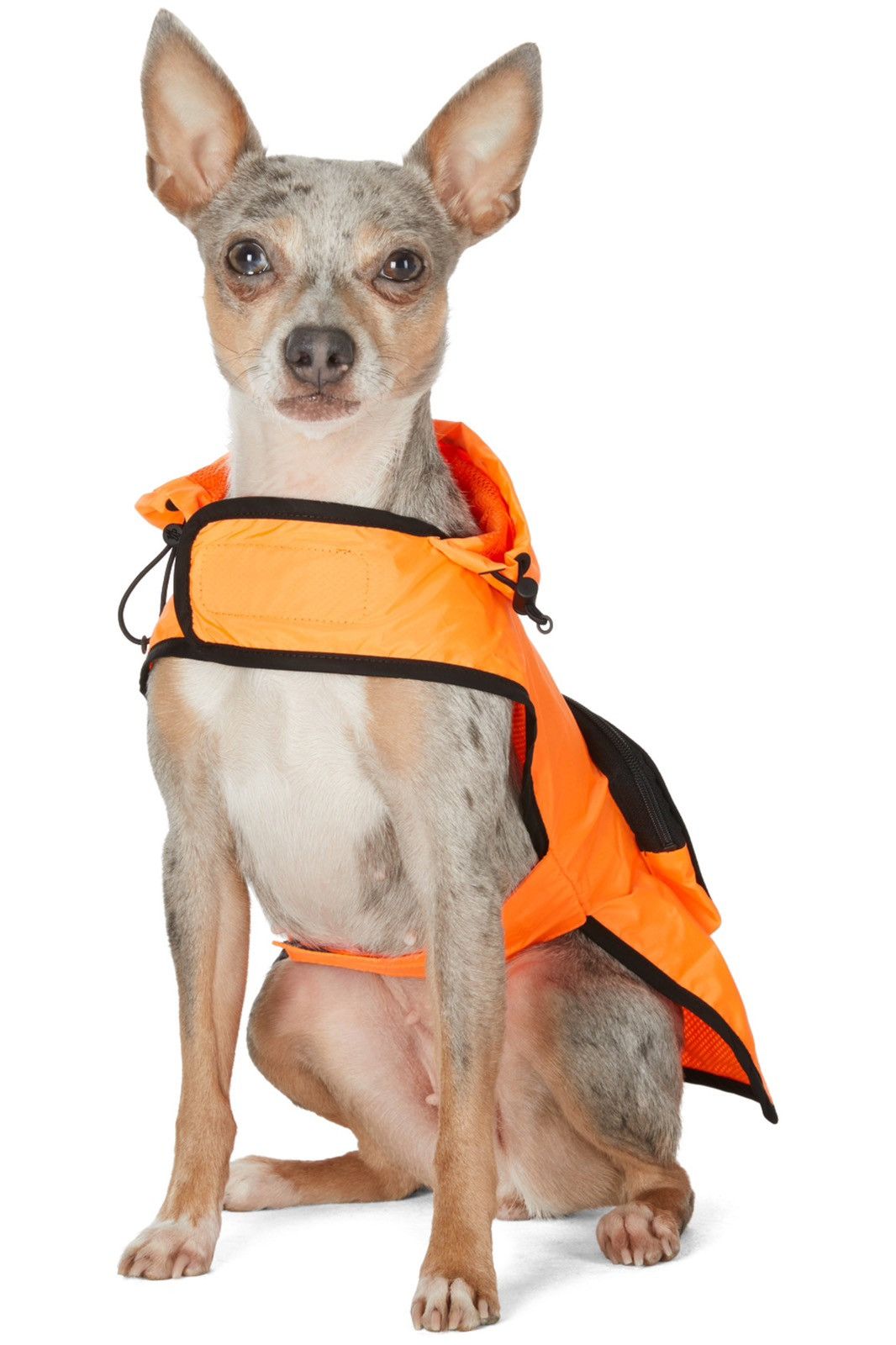 Moncler × Moncler Genius Moncler Genius x Poldo Dog Jacket Orange Size ONE SIZE - 6 Thumbnail