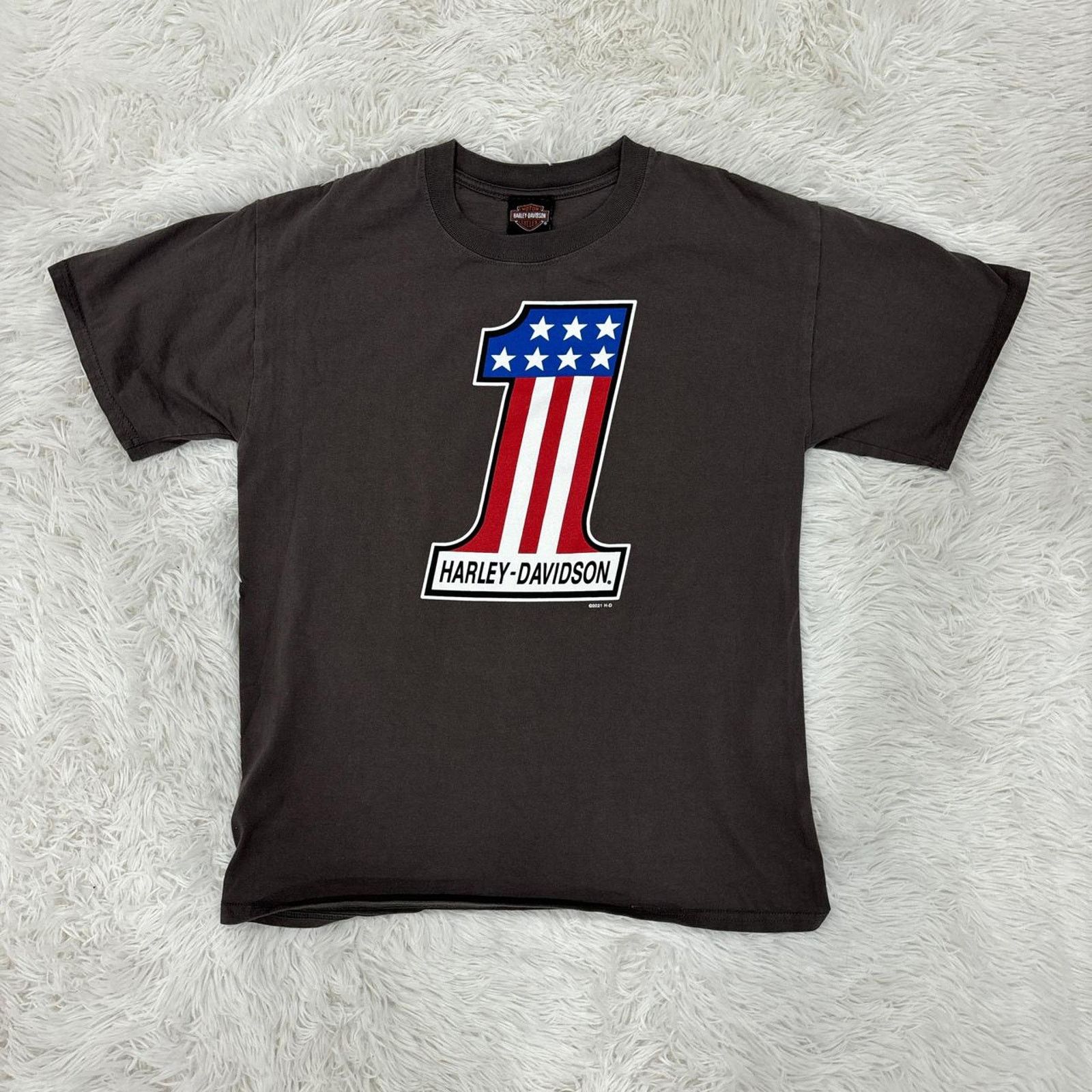 Harley Davidson Harley davidson graphic tshirt Size US M / EU 48-50 / 2 - 2 Thumbnail