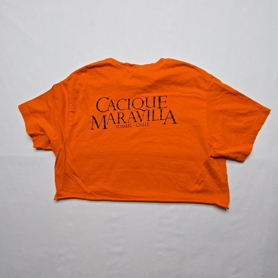 Other Vino Naranja Graphic Tee Cacique Maravilla L Crop Top Size L / US 10 / IT 46 - 8 Thumbnail