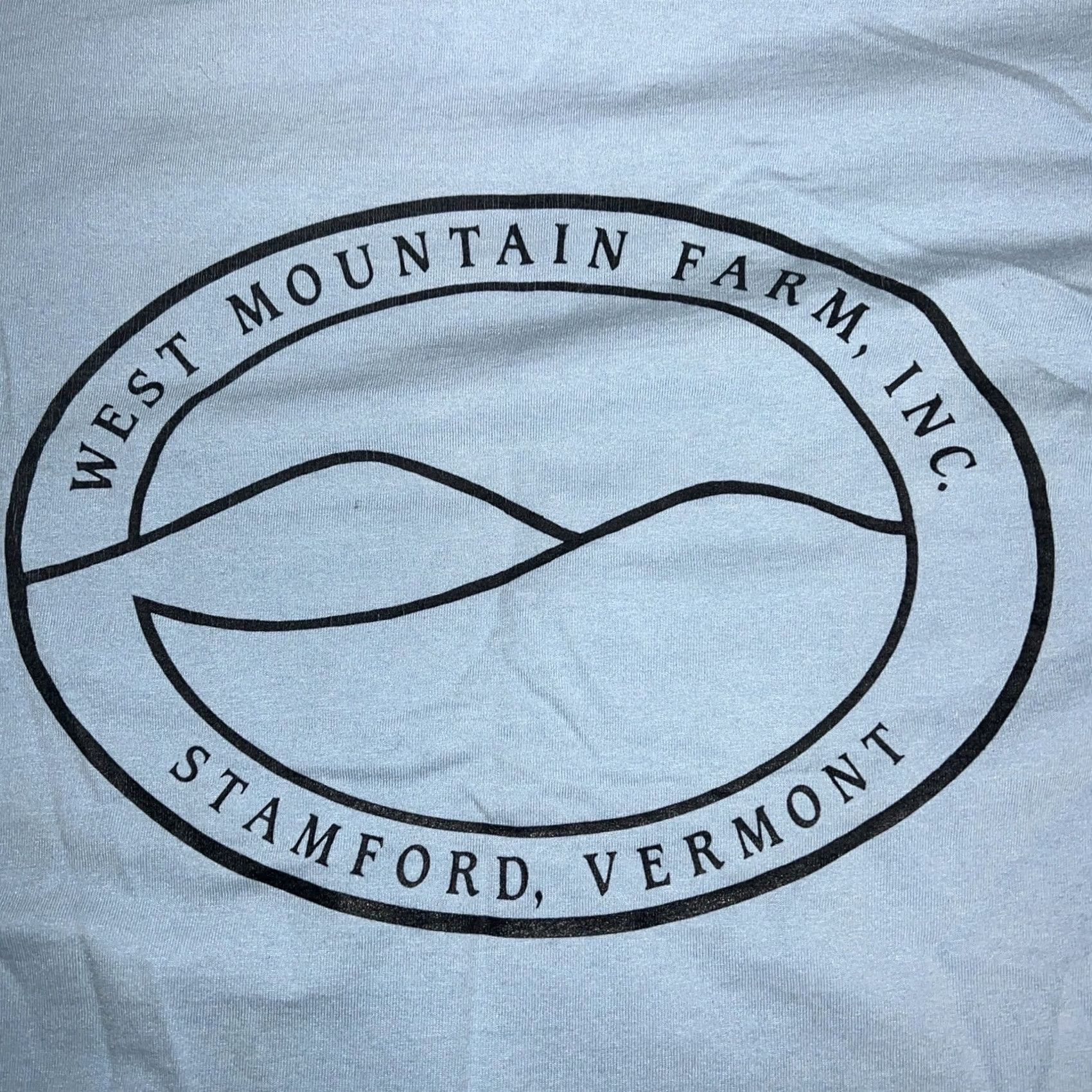 Vintage VTG SINGLE STITCH (Stamford) Graphic T-Shirt Mens Size M Blue Stitch Mens M VTG T-Shirt Graphic Size US M / EU 48-50 / 2 - 6 Thumbnail