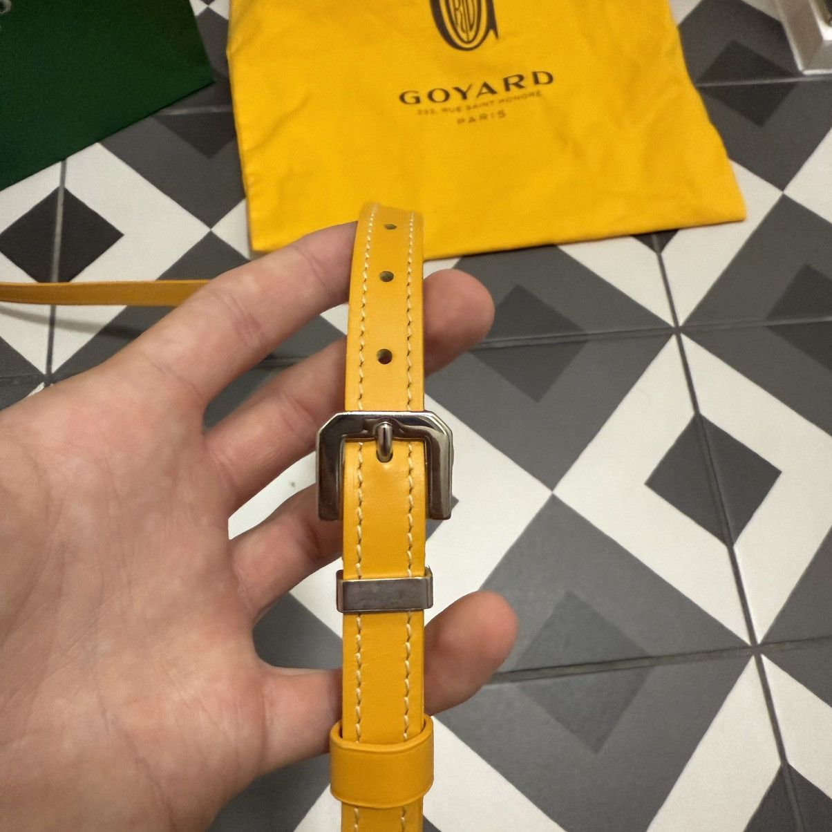 Goyard Cap Vert PM Bag Size ONE SIZE - 9 Thumbnail