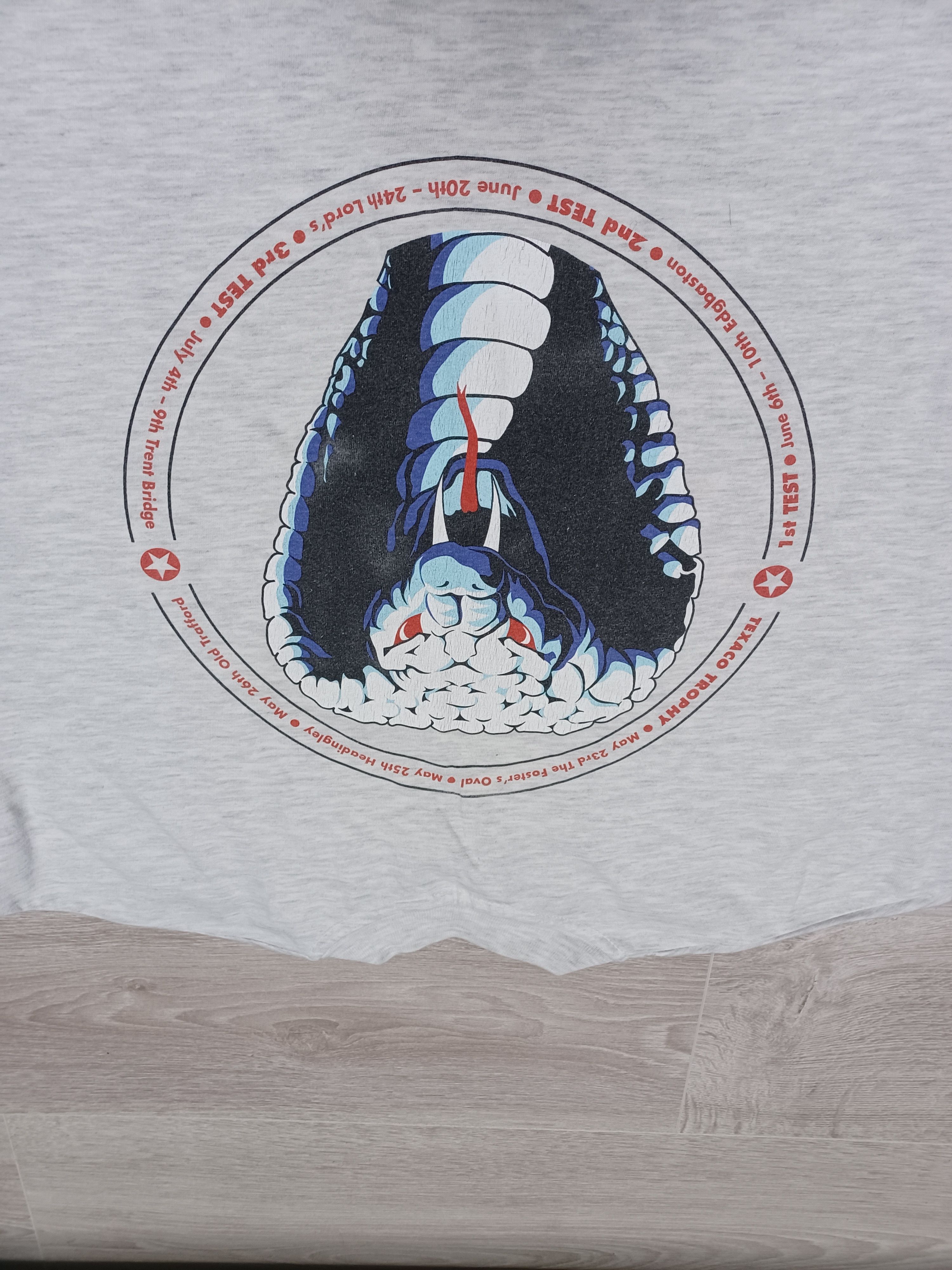 Hanes 1996 FANTASTIC BIG PRINT CRICKET ENGLAND INDIA HANES RAR TEE Size US L / EU 52-54 / 3 - 4 Thumbnail