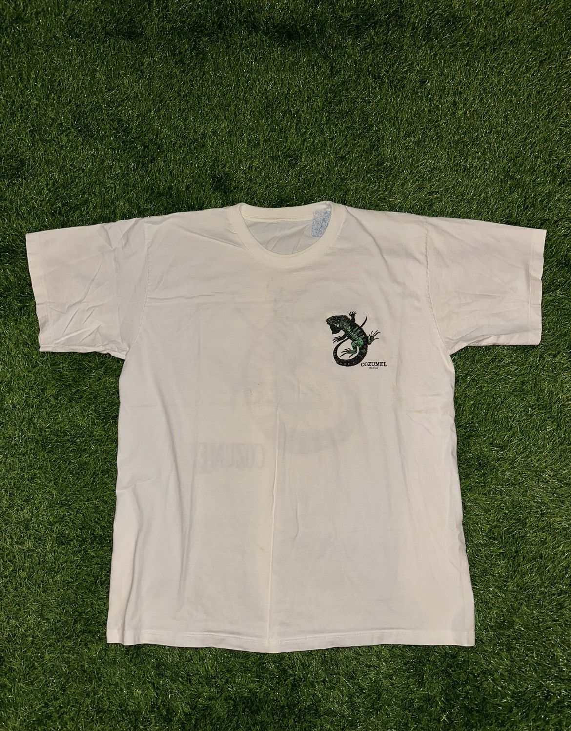 Vintage Cozumel Mexico Lizard Tee Shirt Size XL Size US XL / EU 56 / 4 - 1 Thumbnail