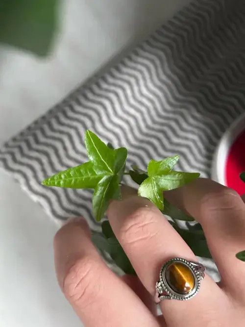 VIBE Tiger Eye Stone Ring ( size 6 to 10 ) Size ONE SIZE - 2 Thumbnail