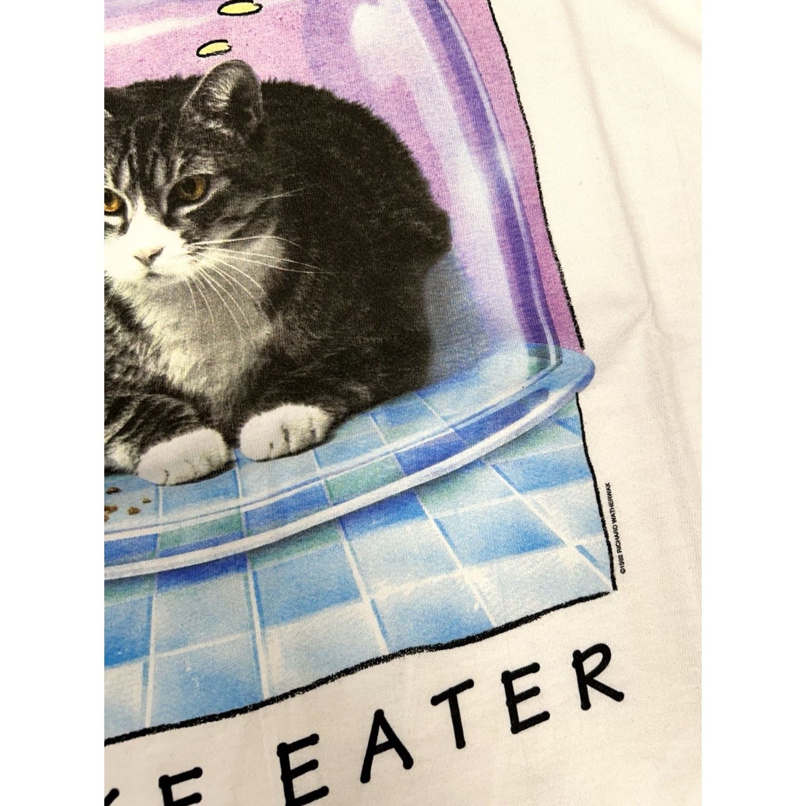 Hanes VINTAGE Richard Watherwax Cat Graphic Cake Eater Funny Cat Tee XL Humor Artist White Hanes Mens 90s Size US XL / EU 56 / 4 - 6 Thumbnail