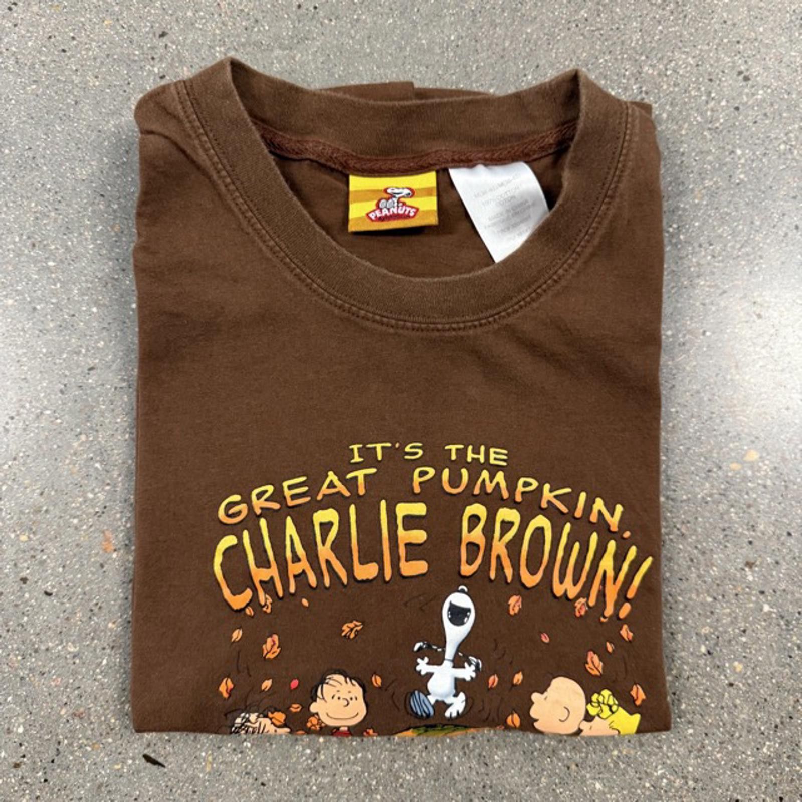 Peanuts Vtg Peanuts Great Pumpkin Charlie Brown T-Shirt - M Size US M / EU 48-50 / 2 - 8 Thumbnail