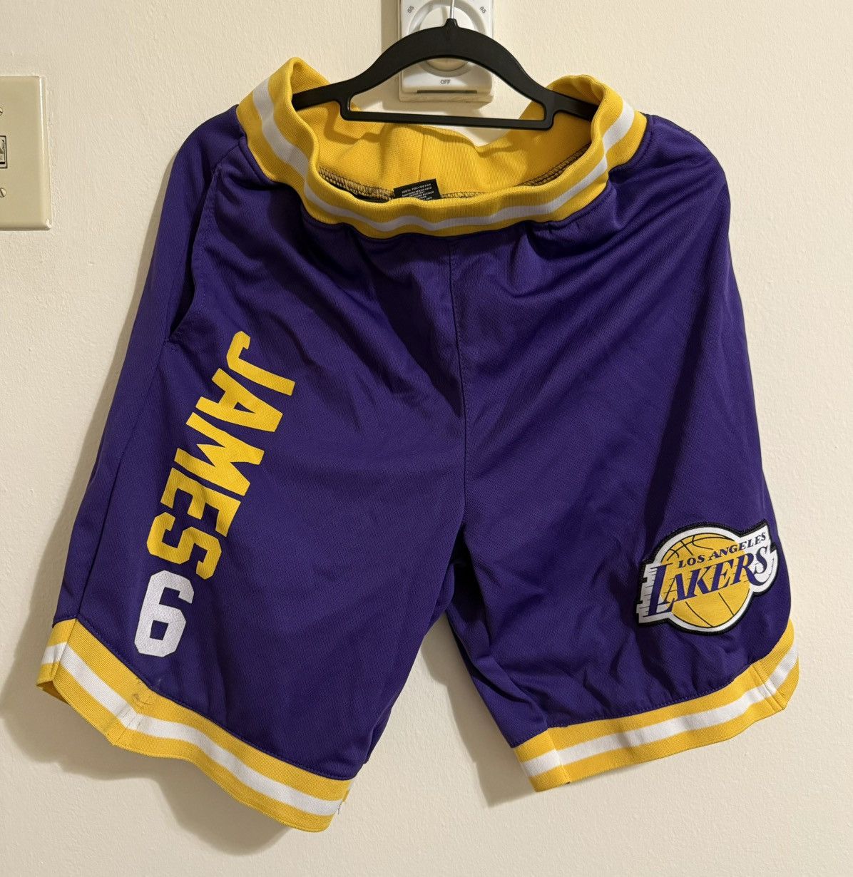NBA Los Angeles Lakers LeBron James NBA Shorts Size US 32 / EU 48 - 1 Thumbnail