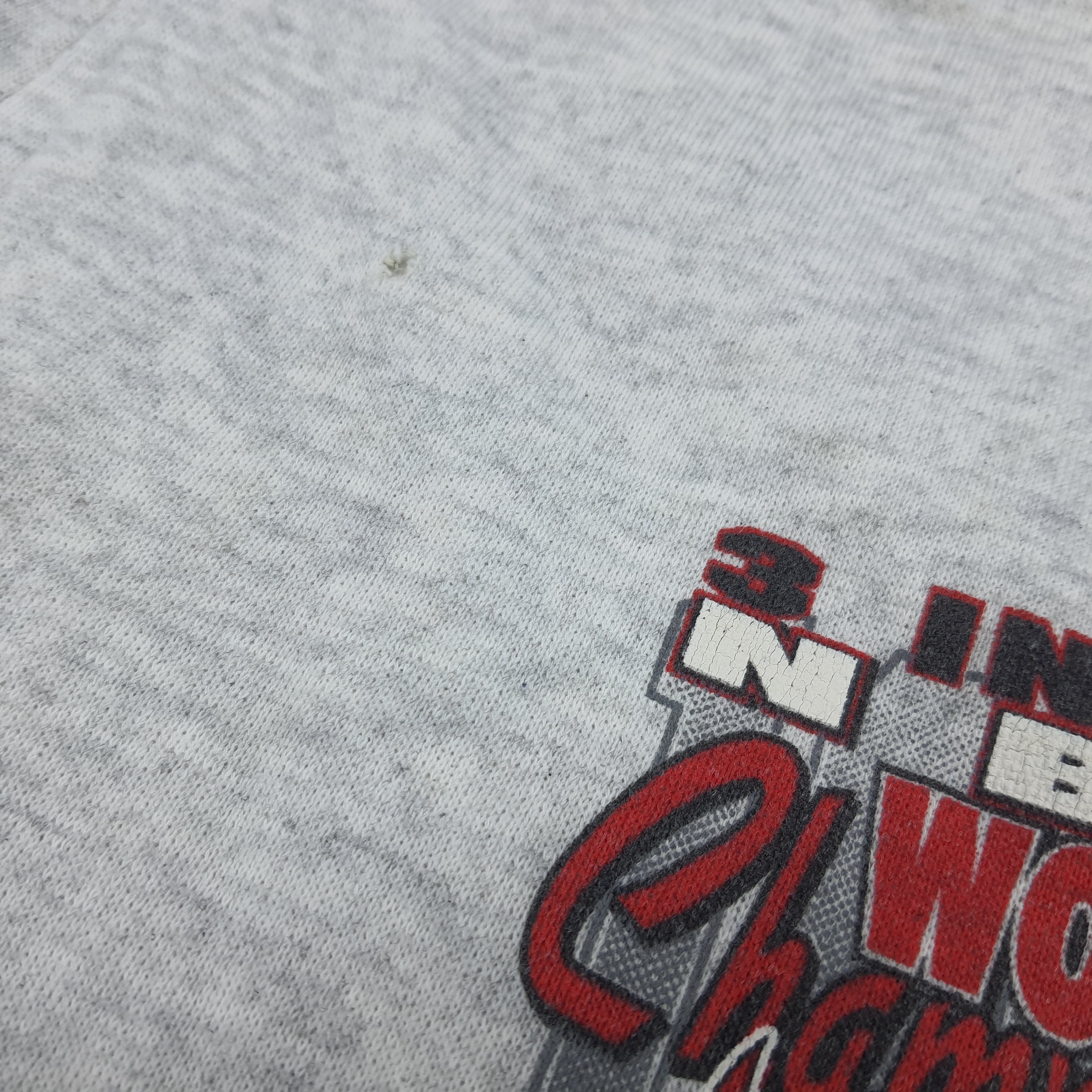 NBA × Vintage Vintage NBA World Champs Chicago Bulls Sweatpants Size US 35 - 12 Thumbnail