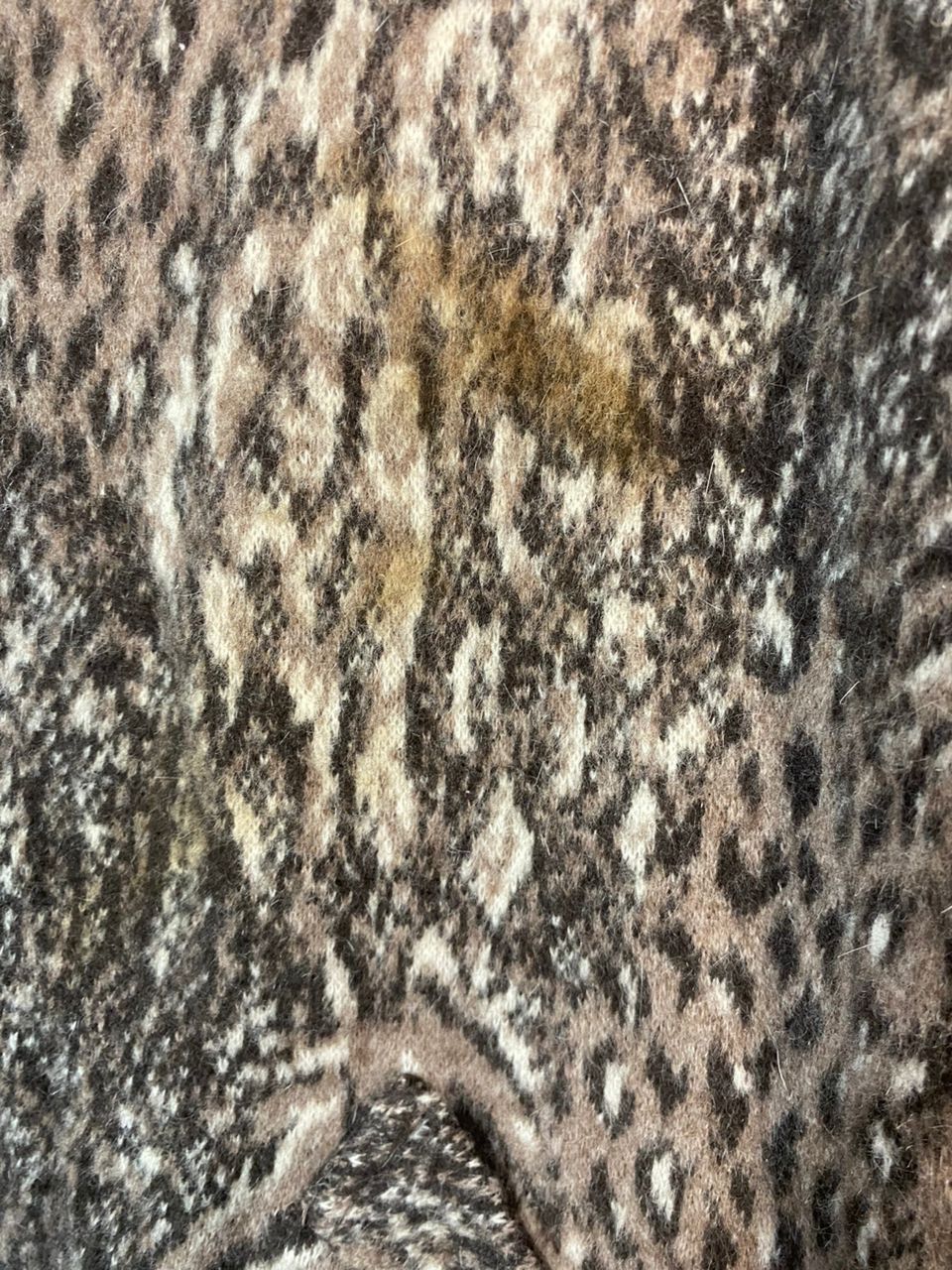 Japanese Brand Leopard fullprint button up jacket by Tokyo look Size L / US 10 / IT 46 - 14 Thumbnail