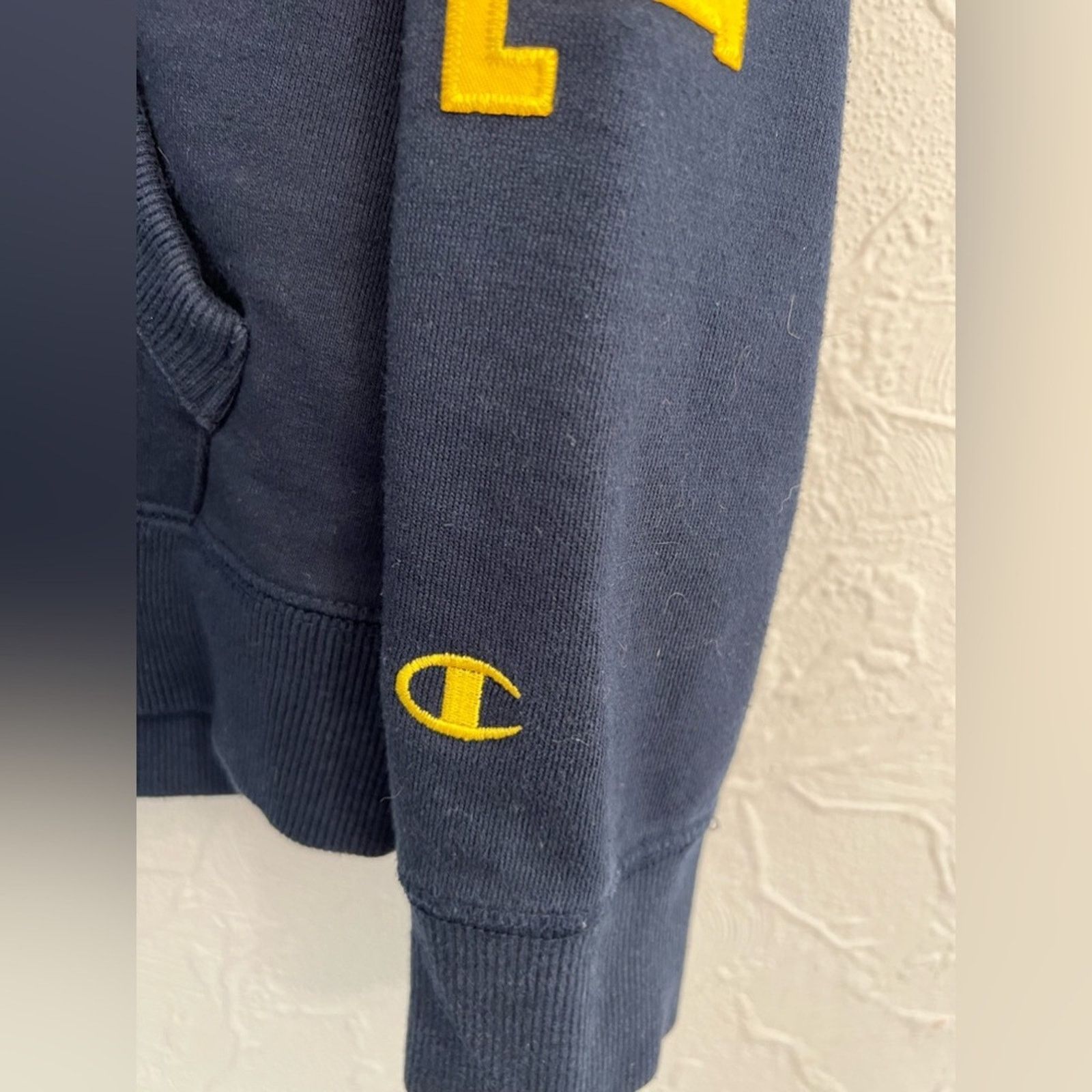Champion Vintage Champion Michigan Hoodie Embroidered Wolverines Size US M / EU 48-50 / 2 - 5 Thumbnail