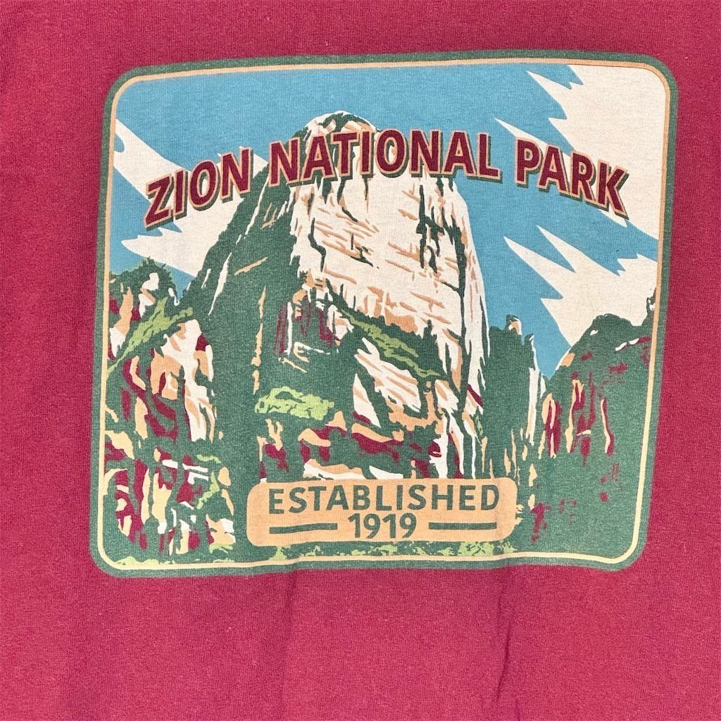 Other Zion National Park Men's T-Shirt Red Graphic Print Short Sl Size US M / EU 48-50 / 2 - 3 Thumbnail