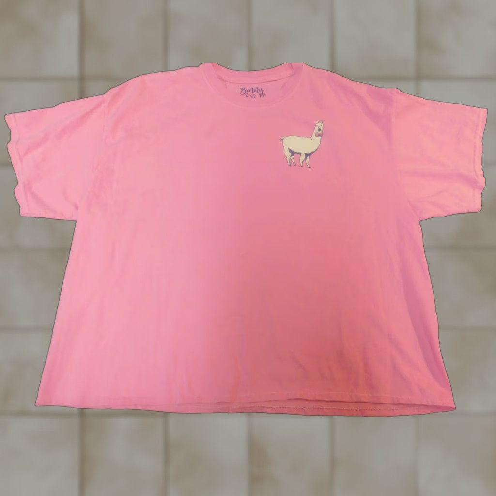 Vintage Benny & Belle Womens XL Pink Plaid T-Shirt Cap Sleeve Collared 100% Cotton Flannel Breathable Casual Modern Vintage: No Size XL / US 12-14 / IT 48-50 - 1 Thumbnail
