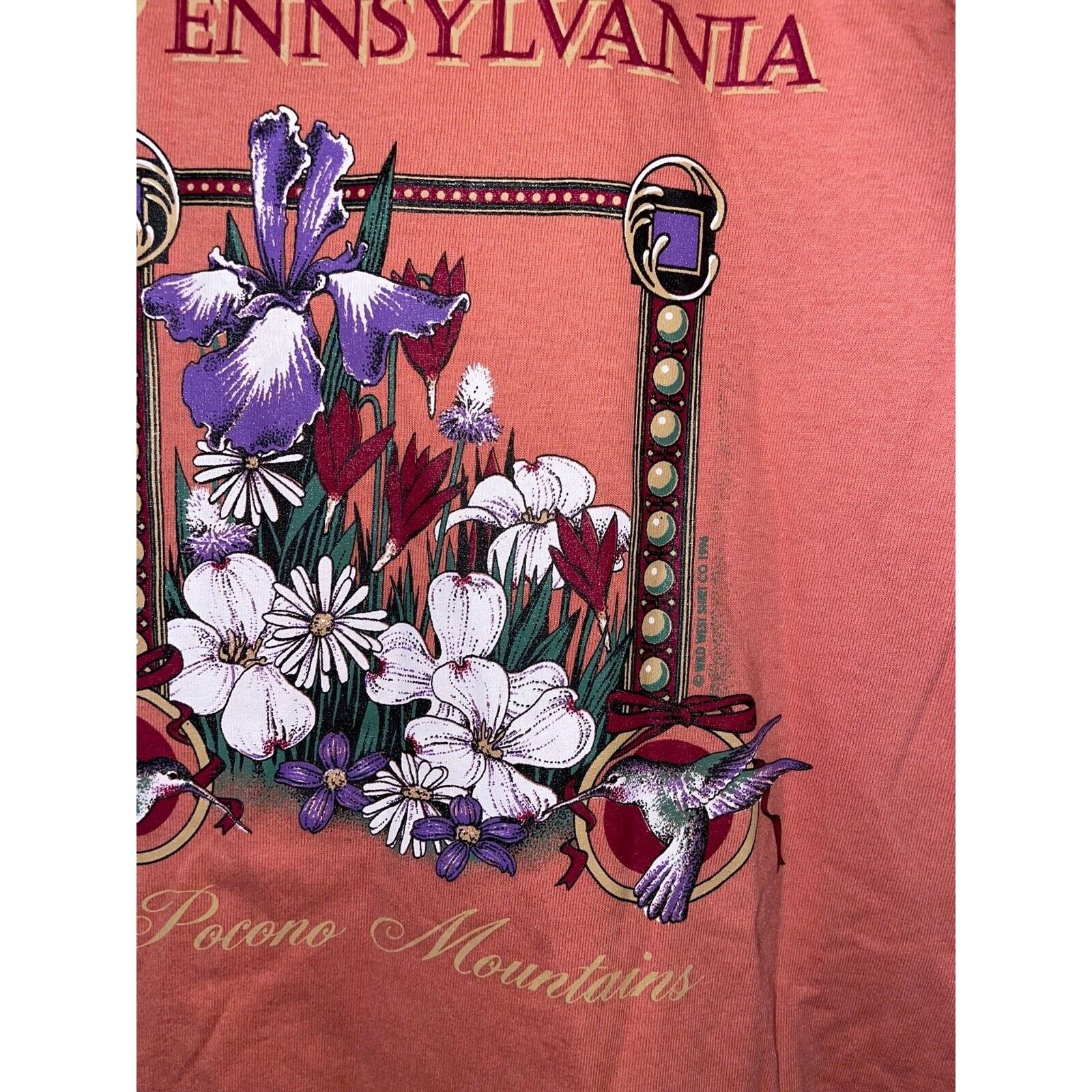 Jerzees Vintage Pocono Mountains Shirt 90s Peach Tee Pink 1990s L Size US L / EU 52-54 / 3 - 4 Thumbnail