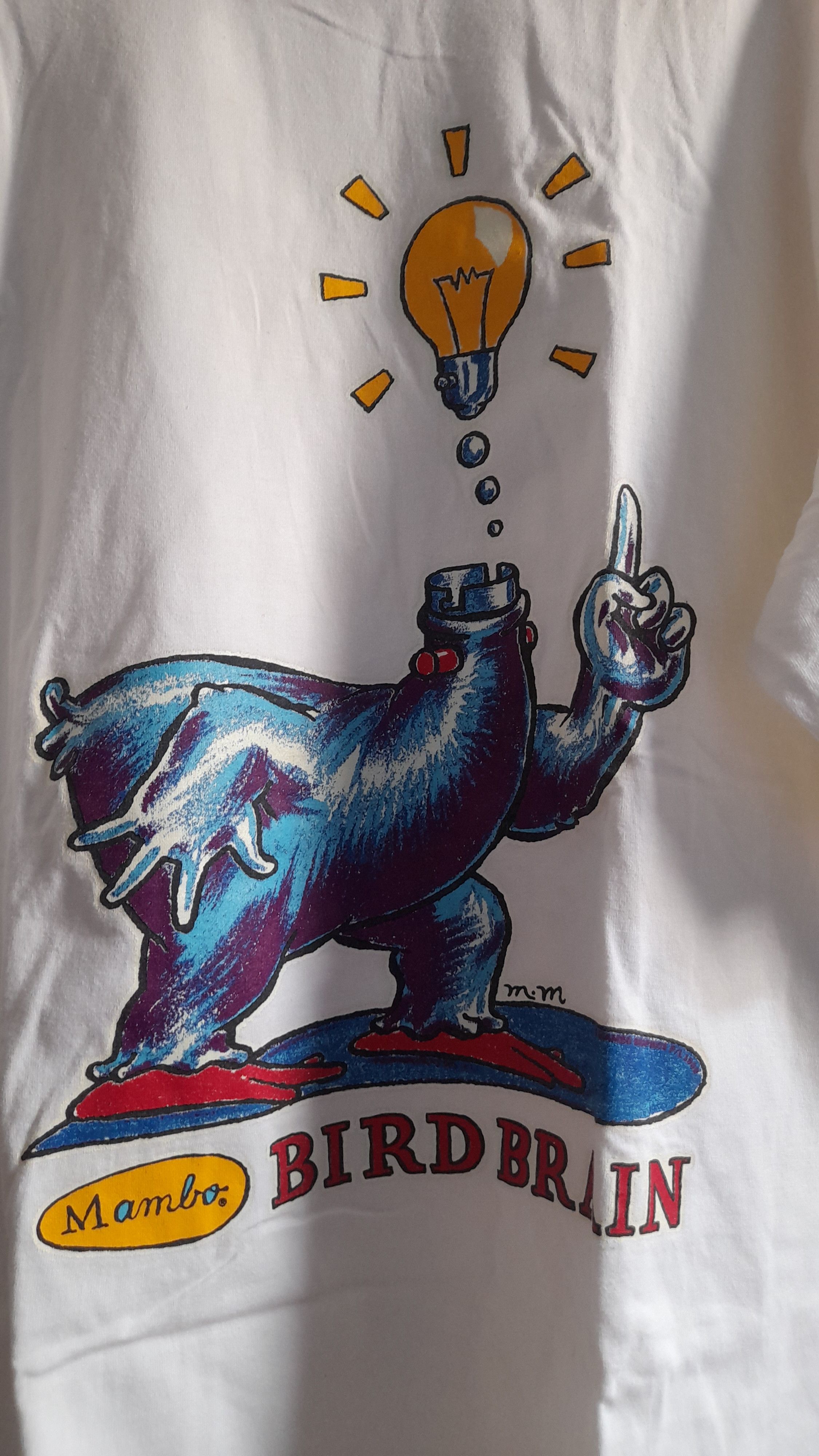 Mambo Vintage Mambo Bird Brain Size US L / EU 52-54 / 3 - 2 Thumbnail