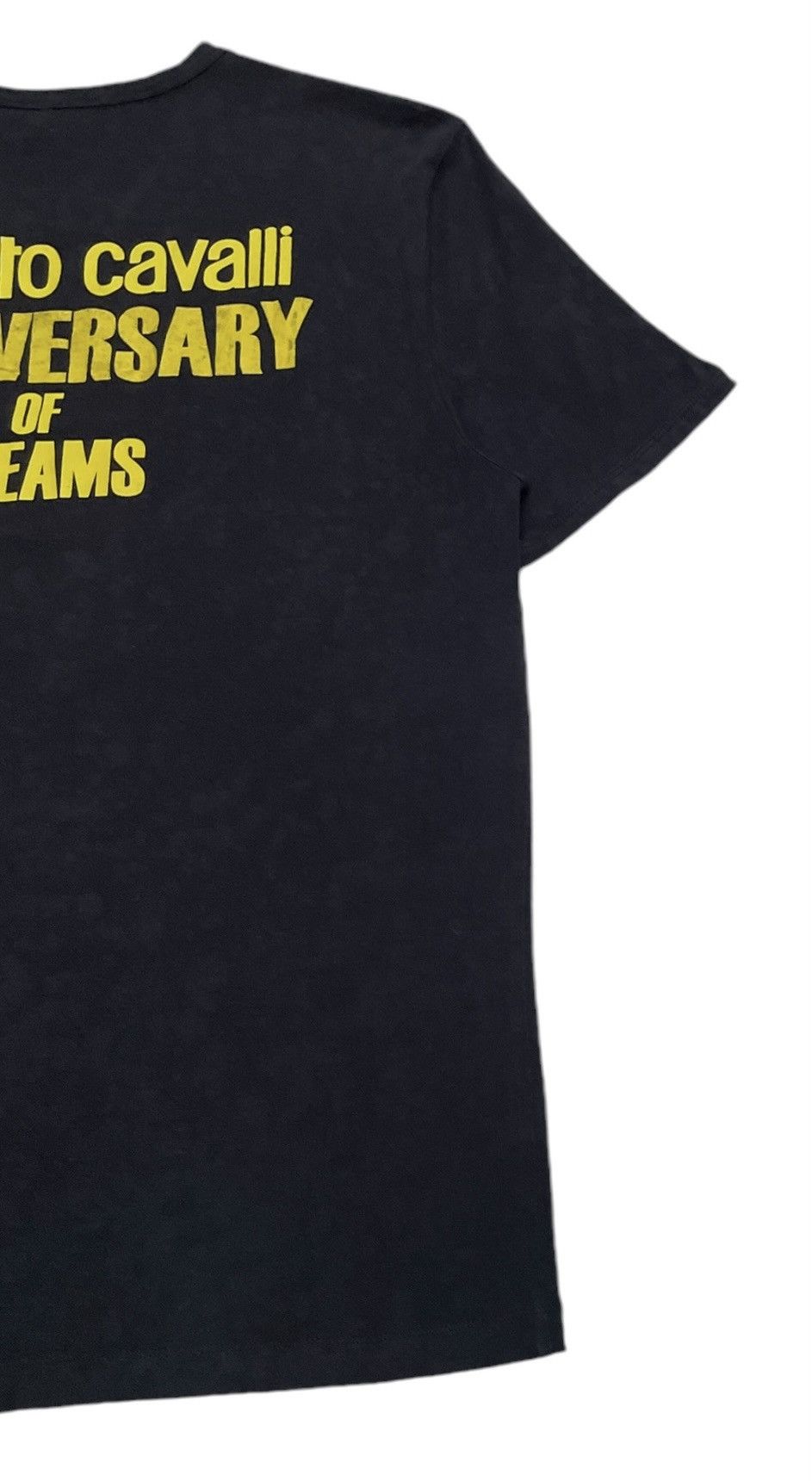 Designer × Roberto Cavalli Rare Vintage Roberto Cavalli 10th Anniversary T-shirt 2000s Size US XXL / EU 58 / 5 - 8 Thumbnail