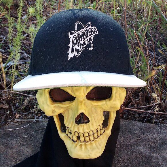 Band Tees Amoeba Music Two Tone Snap Back Hat Cap Size ONE SIZE - 1 Thumbnail