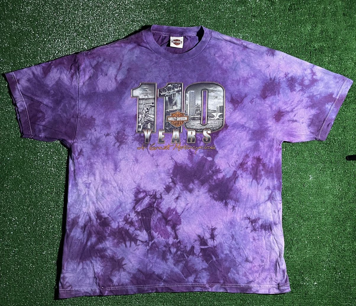 image of Harley Davidson ‘110 Years Of Great Motorcycles’ T-Shirt in Purple, Men's (Size 2XL)