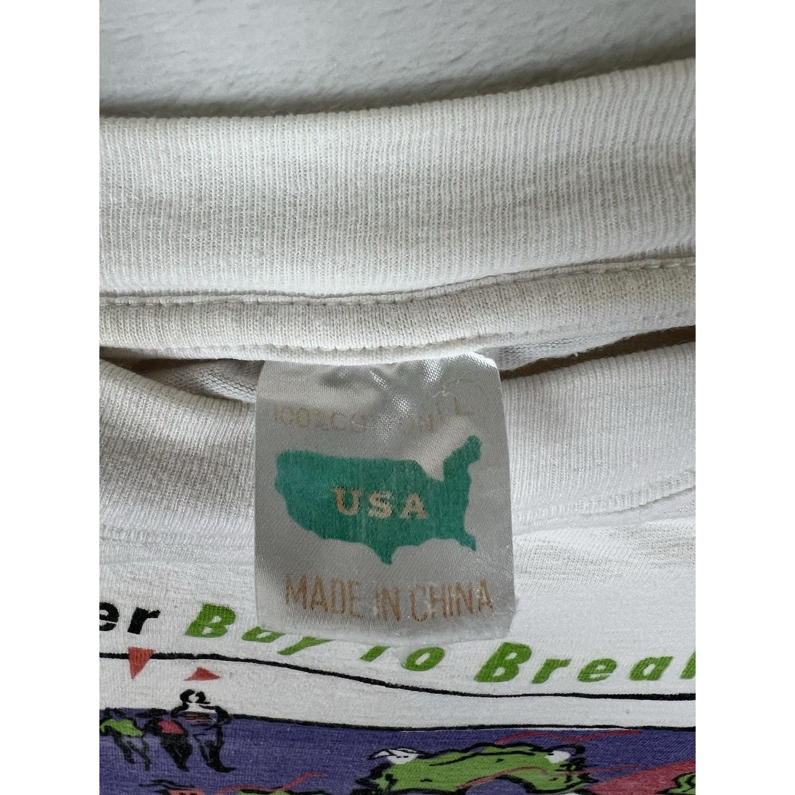 Vintage Vintage Examiner Bay To Breakers I Survived T-Shirt 90’s 199 Size US L / EU 52-54 / 3 - 6 Thumbnail