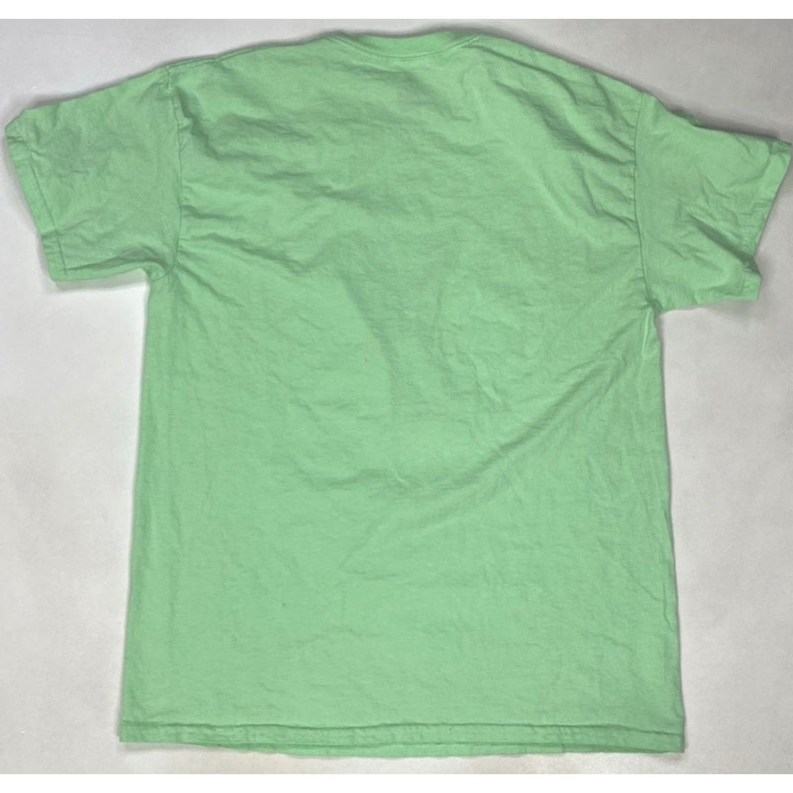 Disney Disney Mickey Mouse Spring Break 2024 Graphic T-shirt Men Medium Green Size US M / EU 48-50 / 2 - 3 Thumbnail