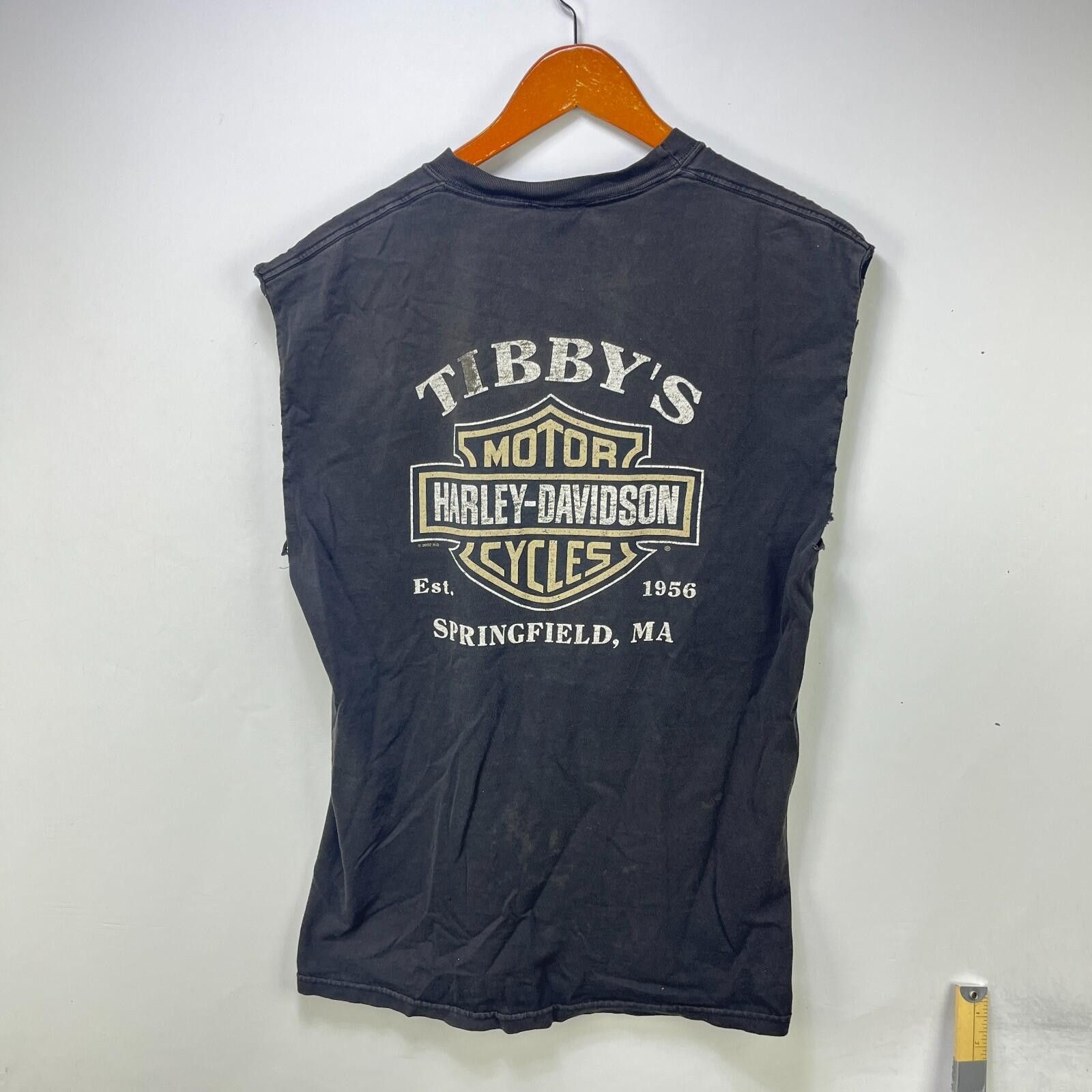 Harley Davidson Vintage Harley Davidson Faded Sleeveless Shirt Medium Size US M / EU 48-50 / 2 - 1 Thumbnail