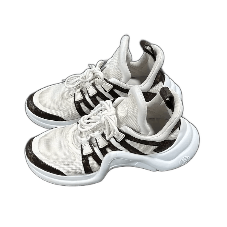 Louis Vuitton Dad Sneakers in White and Brown - Main Image