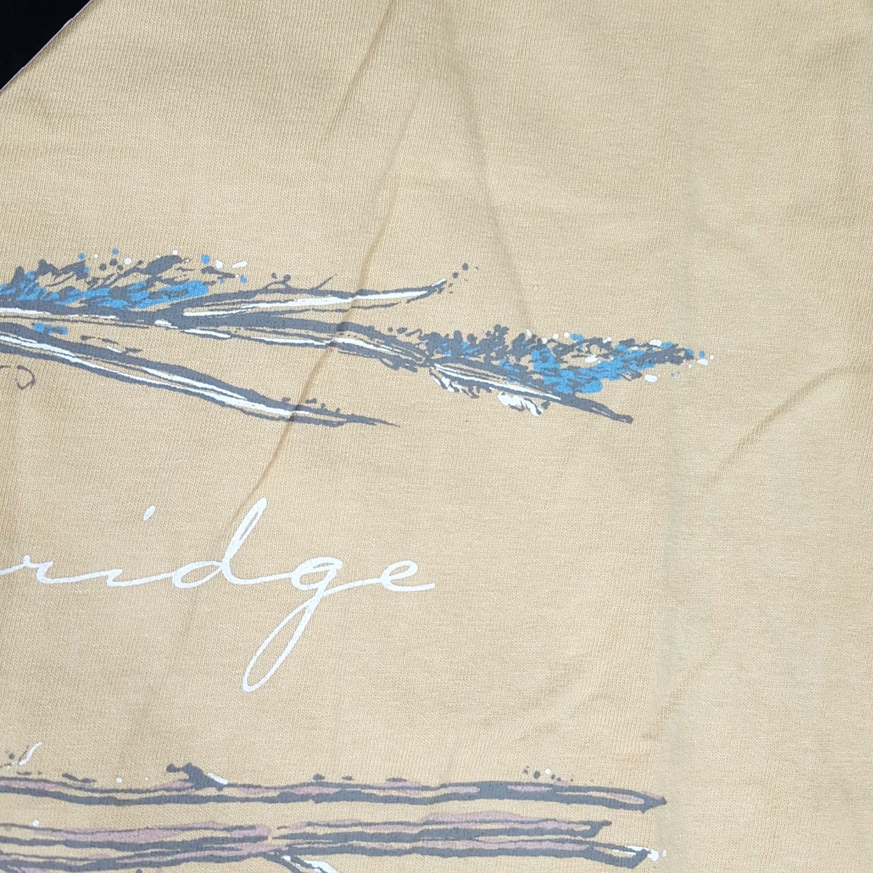 Vintage VINTAGE Cambridge Maryland Y2K Men's Size Large USA Made University T Shirt Size US L / EU 52-54 / 3 - 6 Thumbnail