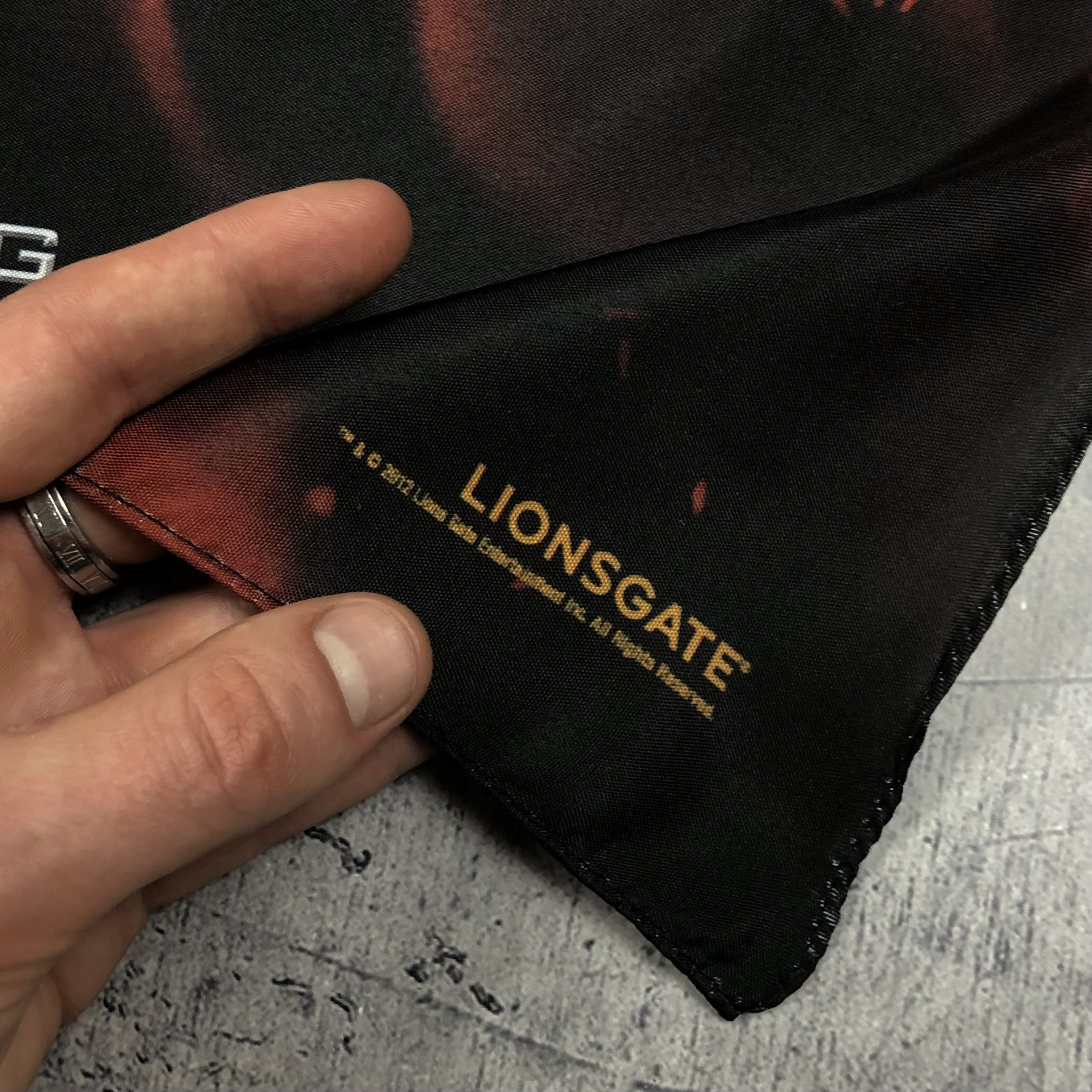 Expert Horror 2012 Hunger Games Dystopian Flag Poster Size ONE SIZE - 3 Thumbnail