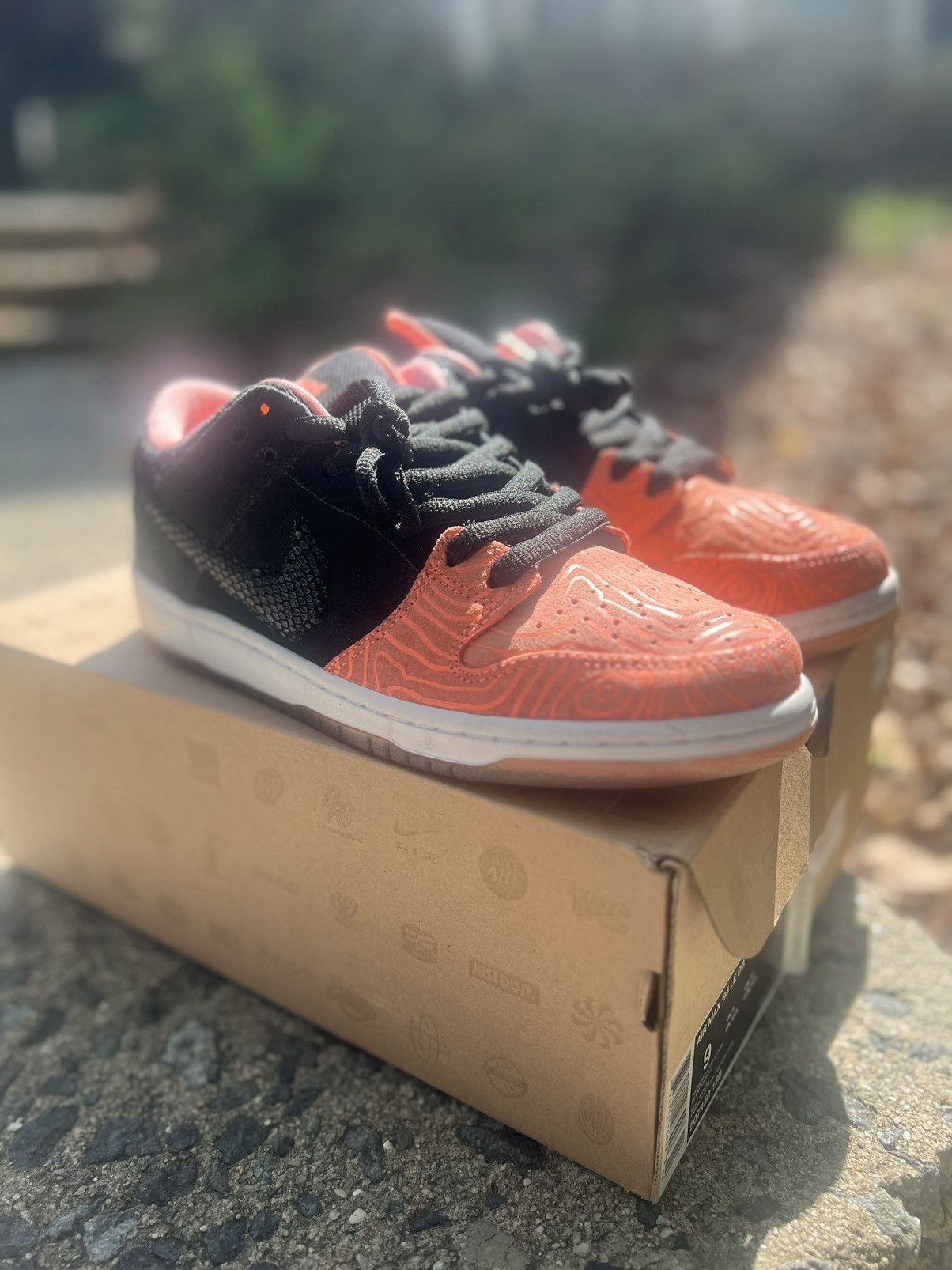 Nike Sb dunk low x Premier Fish ladder 2015