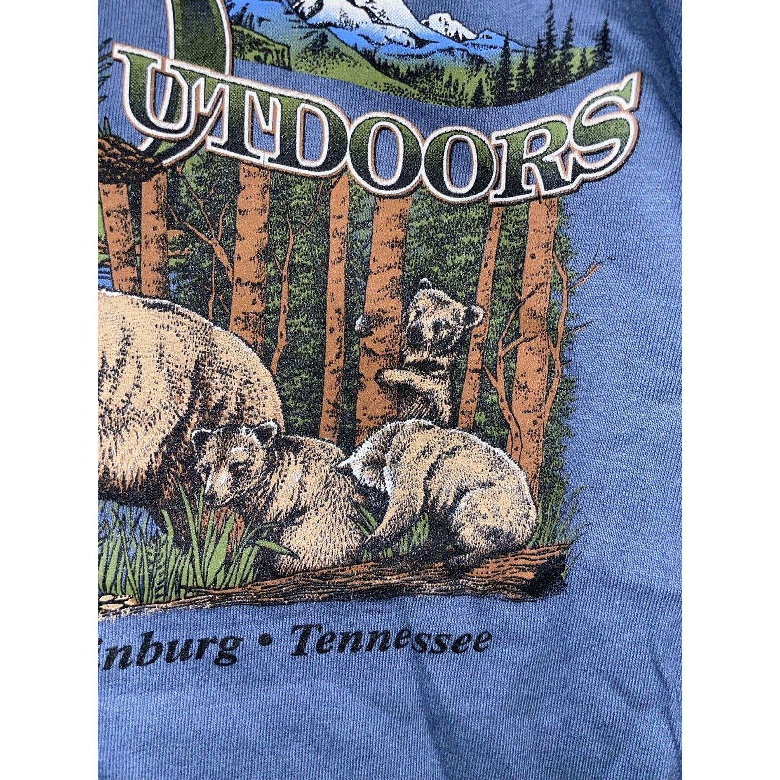 Anvil Vintage Gatlinburg Shirt The Great Outdoors Grizzly Bear Tee Size US M / EU 48-50 / 2 - 4 Thumbnail