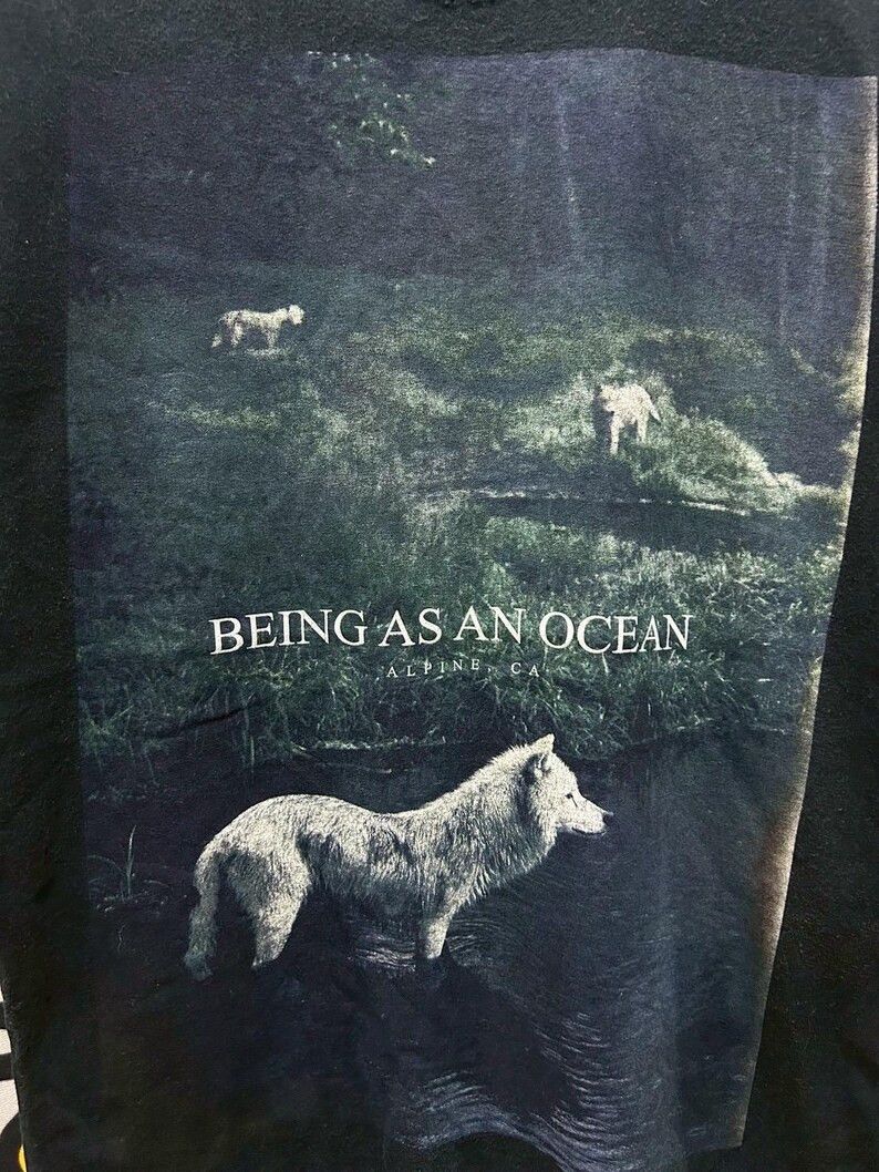Band Tees Vintage 2000s Being As An Ocean tshirt size L Size US L / EU 52-54 / 3 - 3 Thumbnail