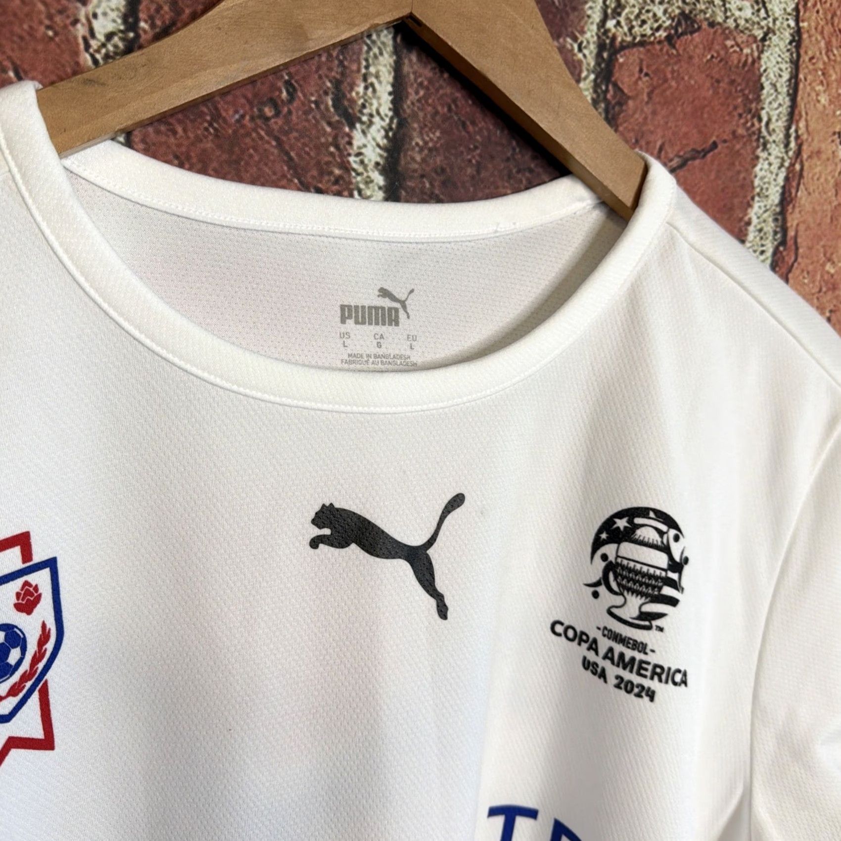 Puma PUMA Jersey Mens T-Shirt White Conmebol Copa America 2024 Drycell Size L Size US L / EU 52-54 / 3 - 2 Thumbnail